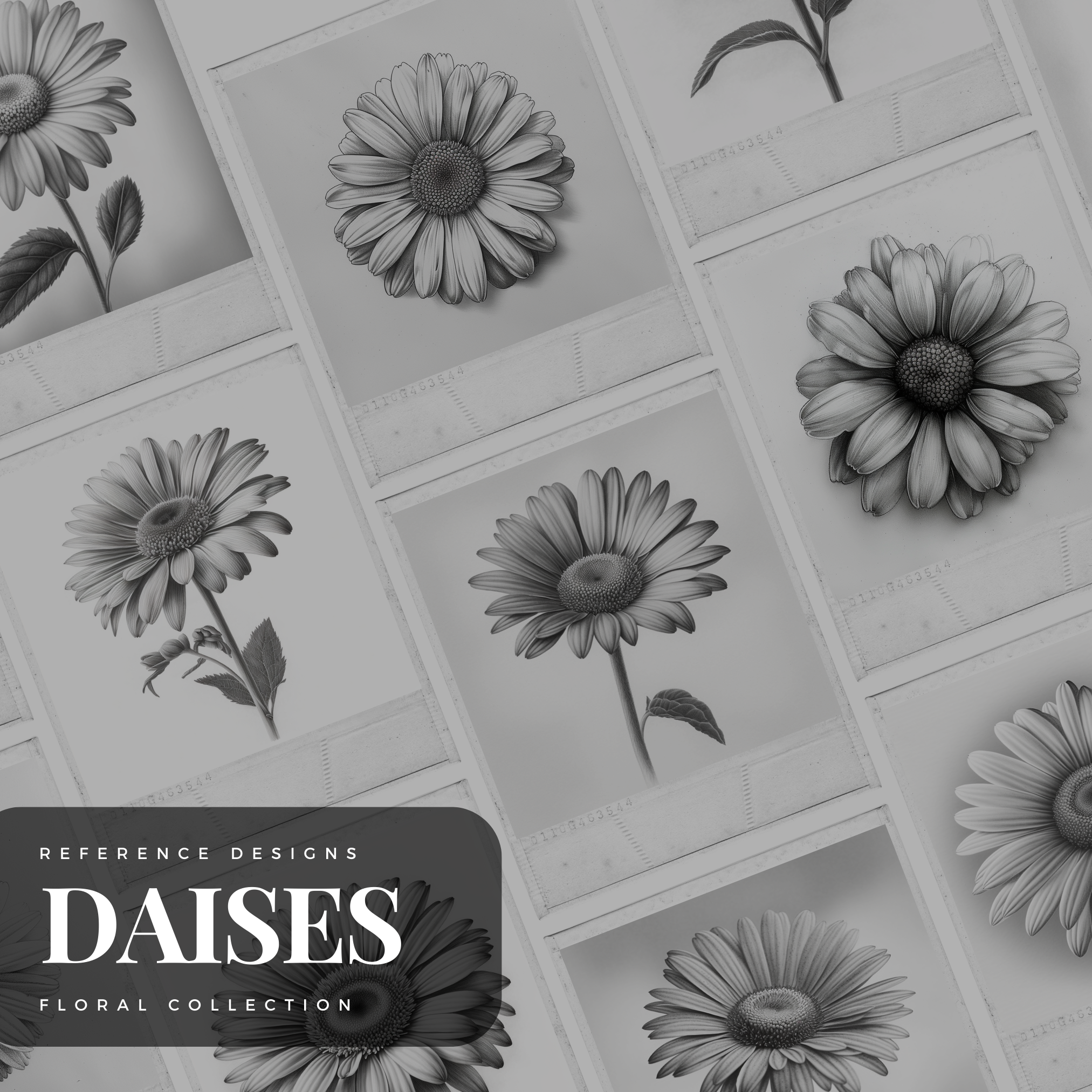 Daisies Digital Design Collection: 50 Procreate & Sketchbook Images