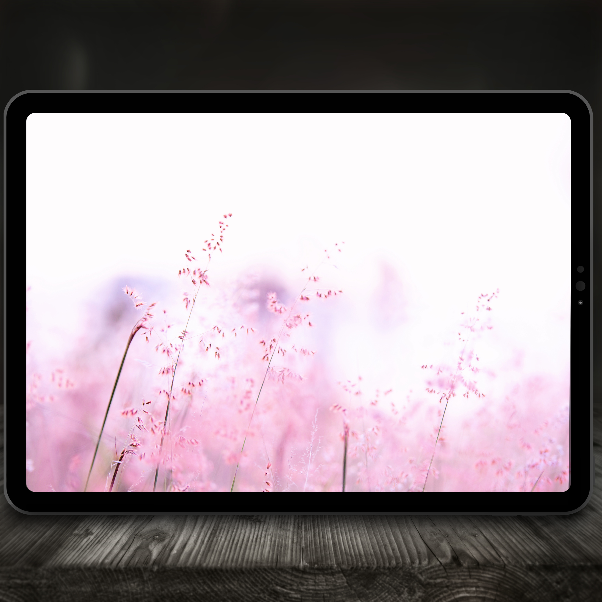 Flower Garden Color Palette for Procreate – Blooming Floral Tones + Hex Chart