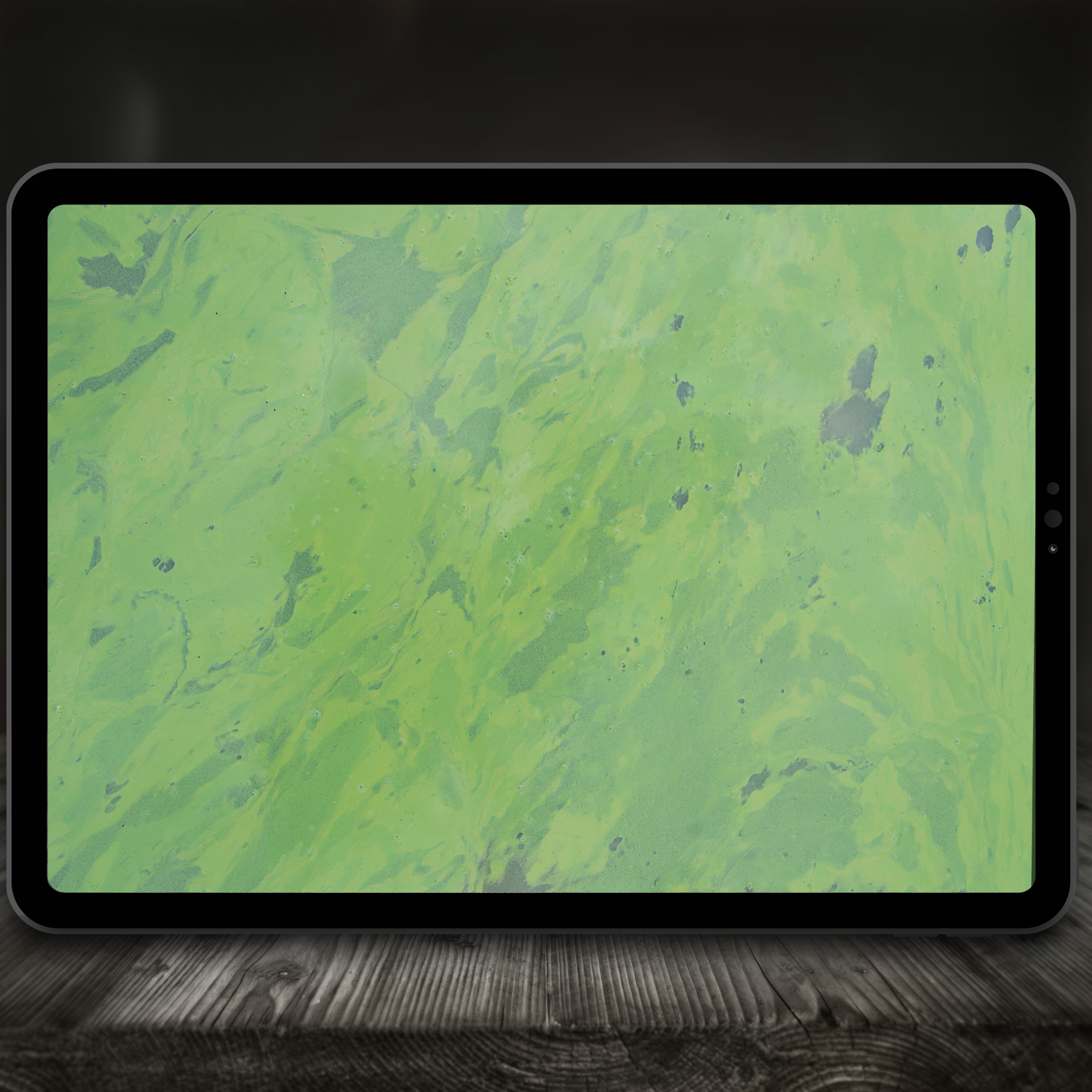 Swamp & Marsh Color Palette for Procreate – Murky Bog Tones + Hex Chart