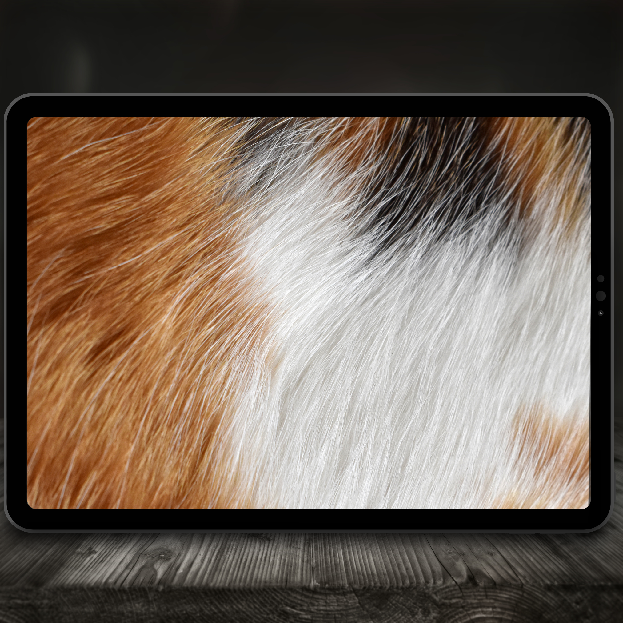 Pet Portrait Tattoo Colour Palette for Procreate – Animal Fur Ink Tones + Hex Chart