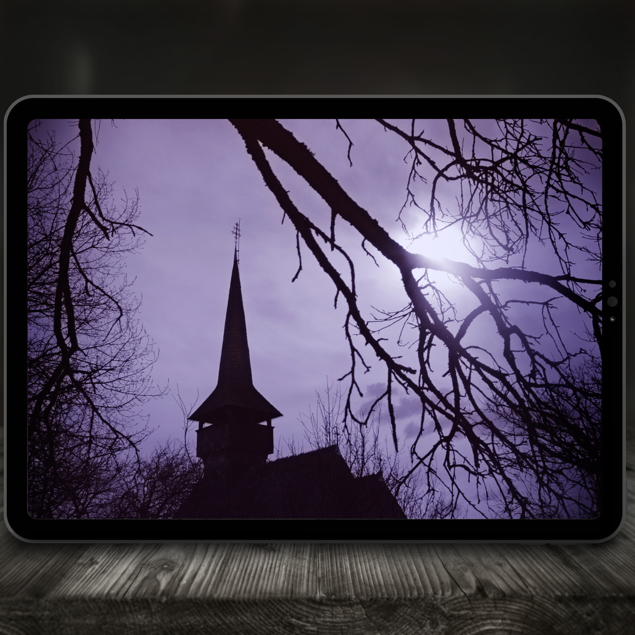 Vampire Velvet Color Palette for Procreate – Gothic Crimson Tones + Hex Chart