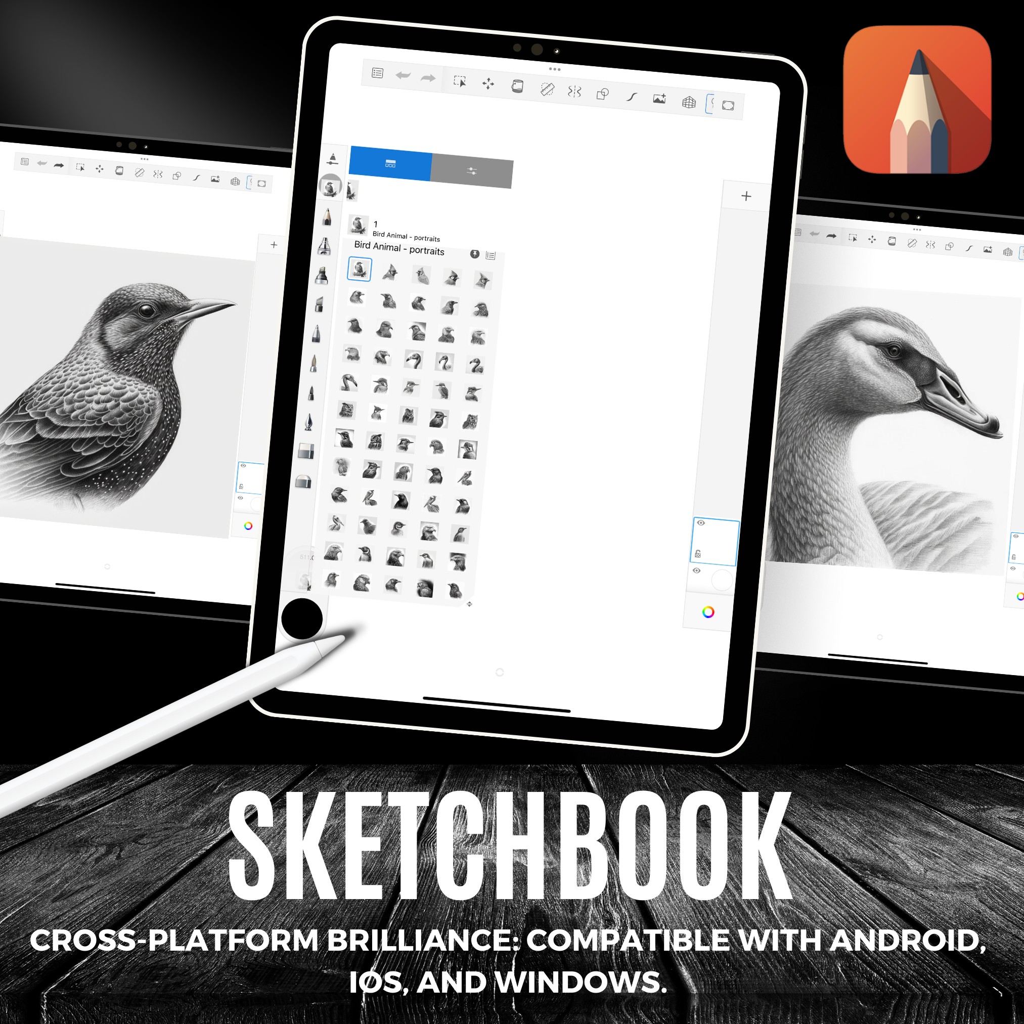 Birds Digital Reference Design Collection: 100 Procreate & Sketchbook Images