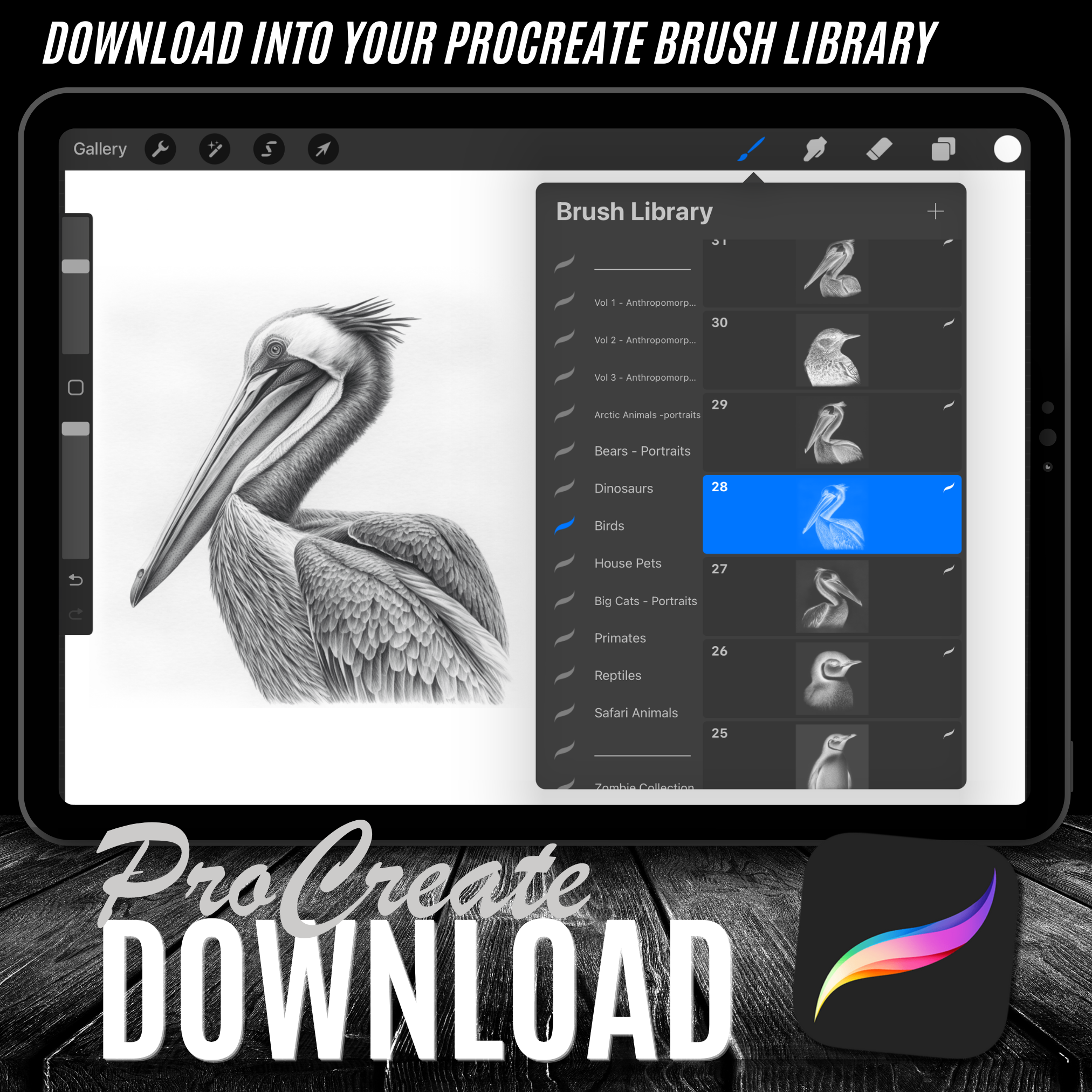 Birds Digital Reference Design Collection: 100 Procreate & Sketchbook Images