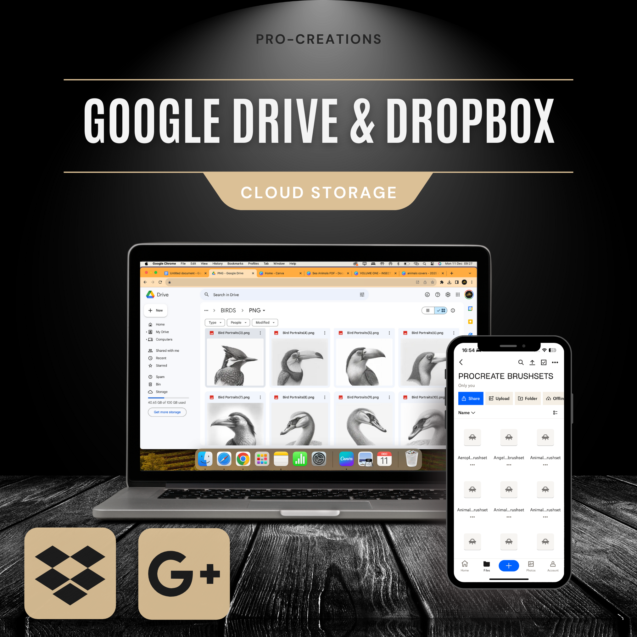 Birds Digital Reference Design Collection: 100 Procreate & Sketchbook Images