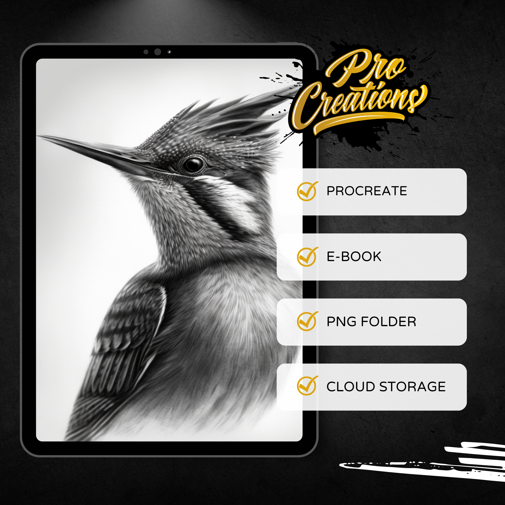 Birds Digital Reference Design Collection: 100 Procreate & Sketchbook Images