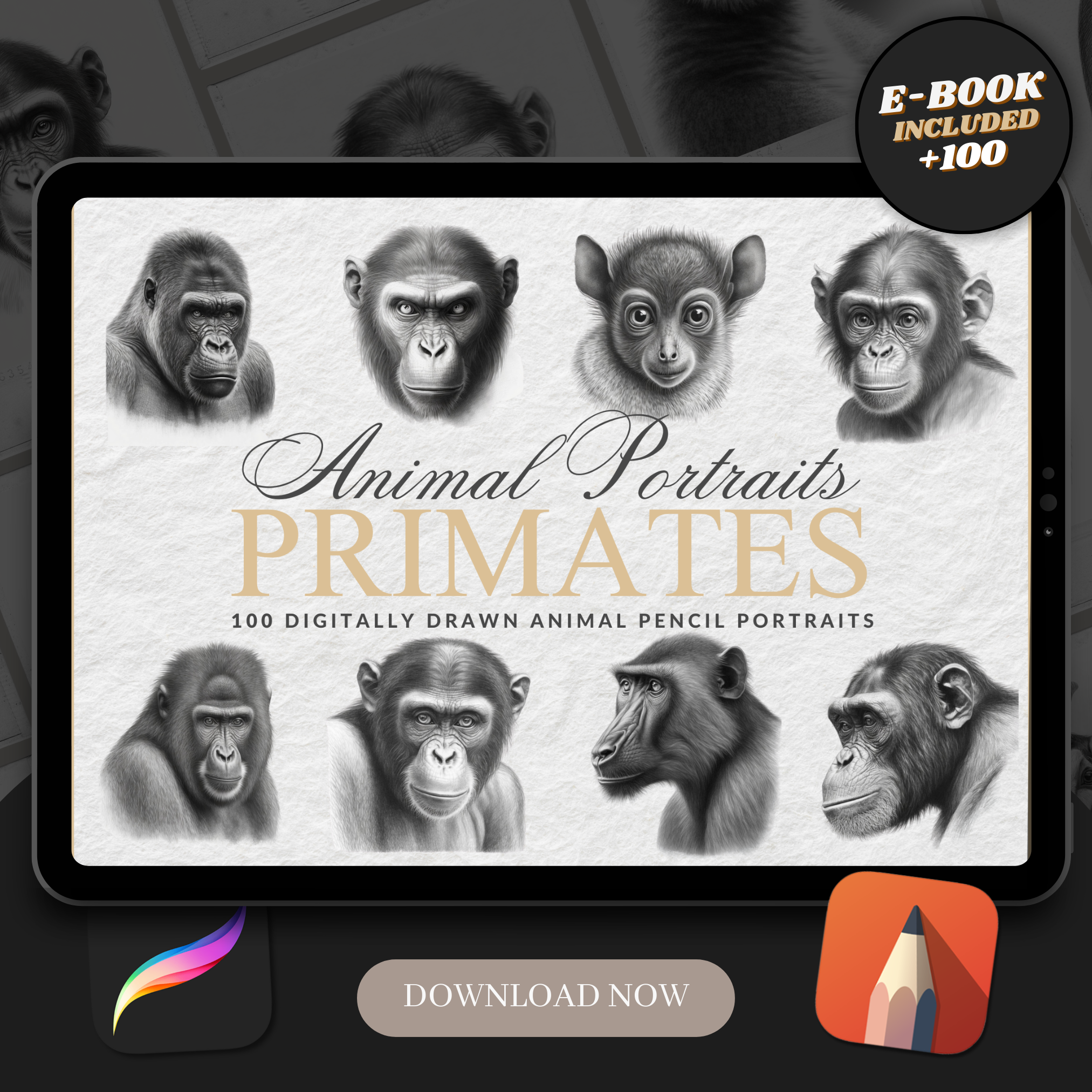 Primates Digital Reference Design Collection: 100 Procreate & Sketchbook Images