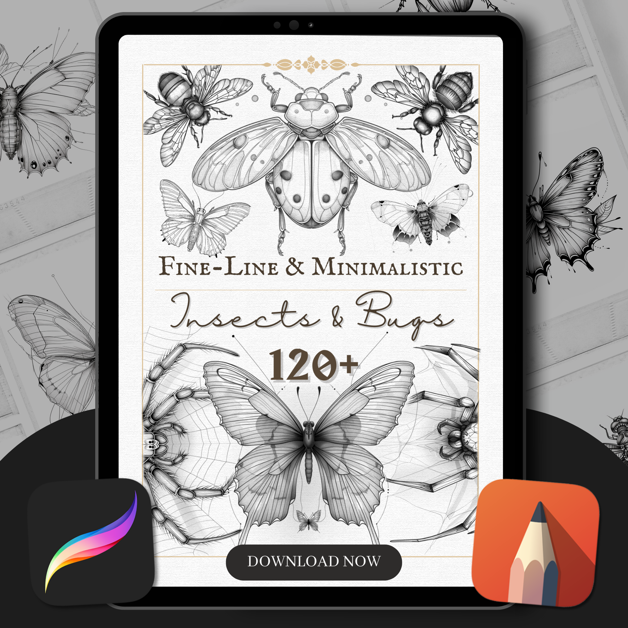 Fine Line & Minimalistic Insects & Bugs Flash Stamp Pack – Delicate Bug Tattoo Designs for Procreate & Sketchbook