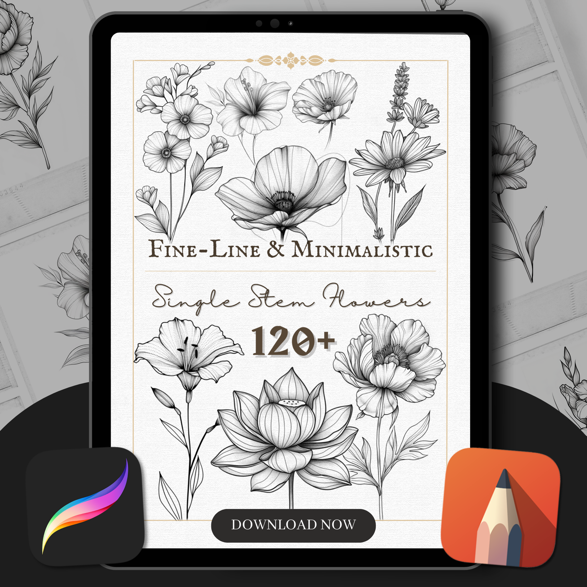 Fine Line & Minimalistic Single Stem Flowers Flash Stamp Pack – Elegant Floral Tattoo Designs for Procreate & Sketchbook