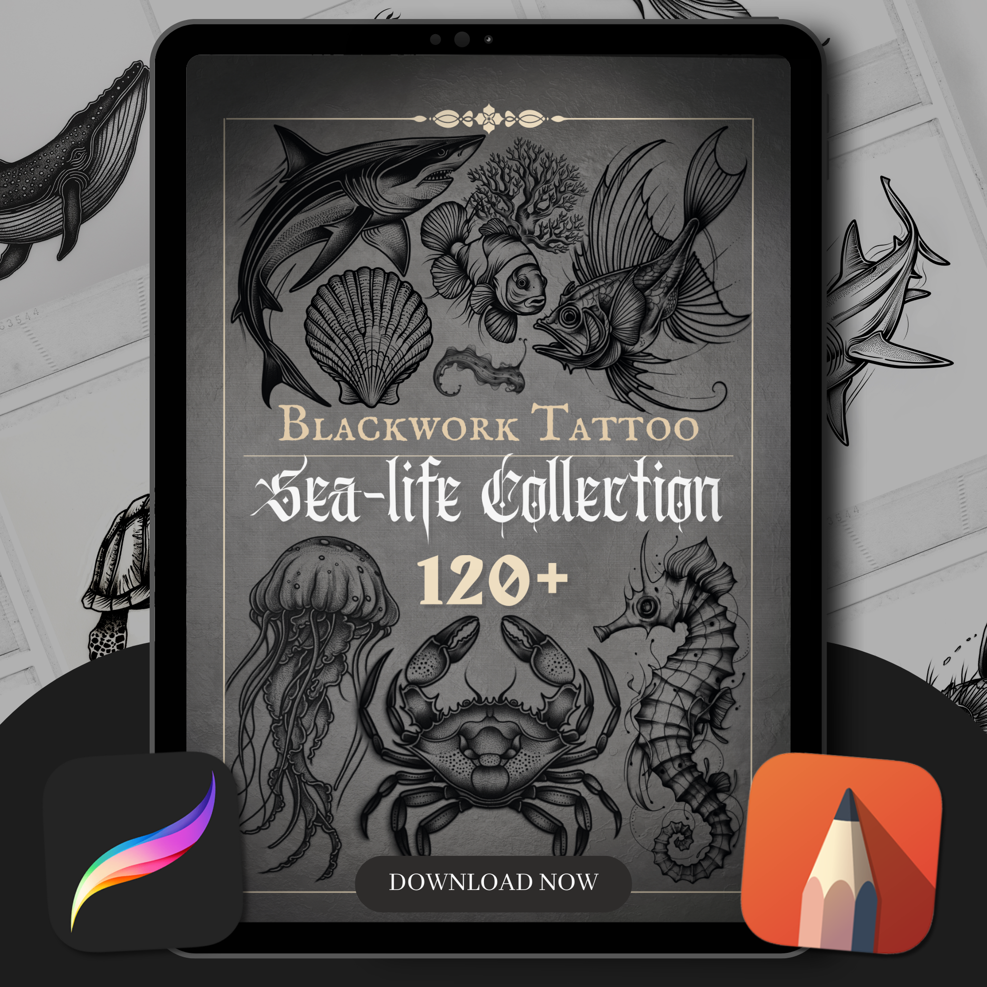 Blackwork Sea Life Flash Stamp Pack – Bold Ocean-Inspired Tattoo Designs for Procreate & Sketchbook