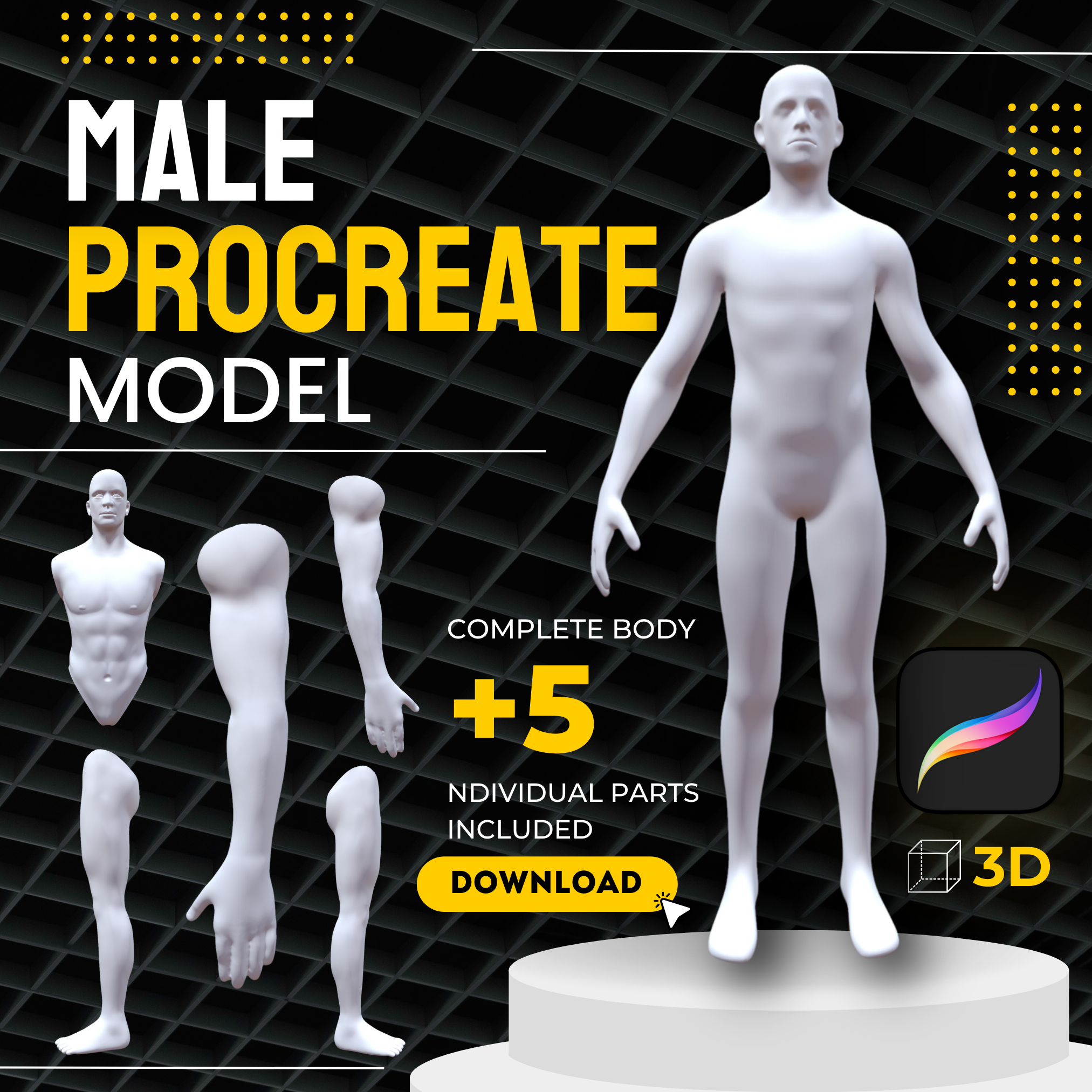 Male 3D Model for Procreate - Full Body & Individual Parts