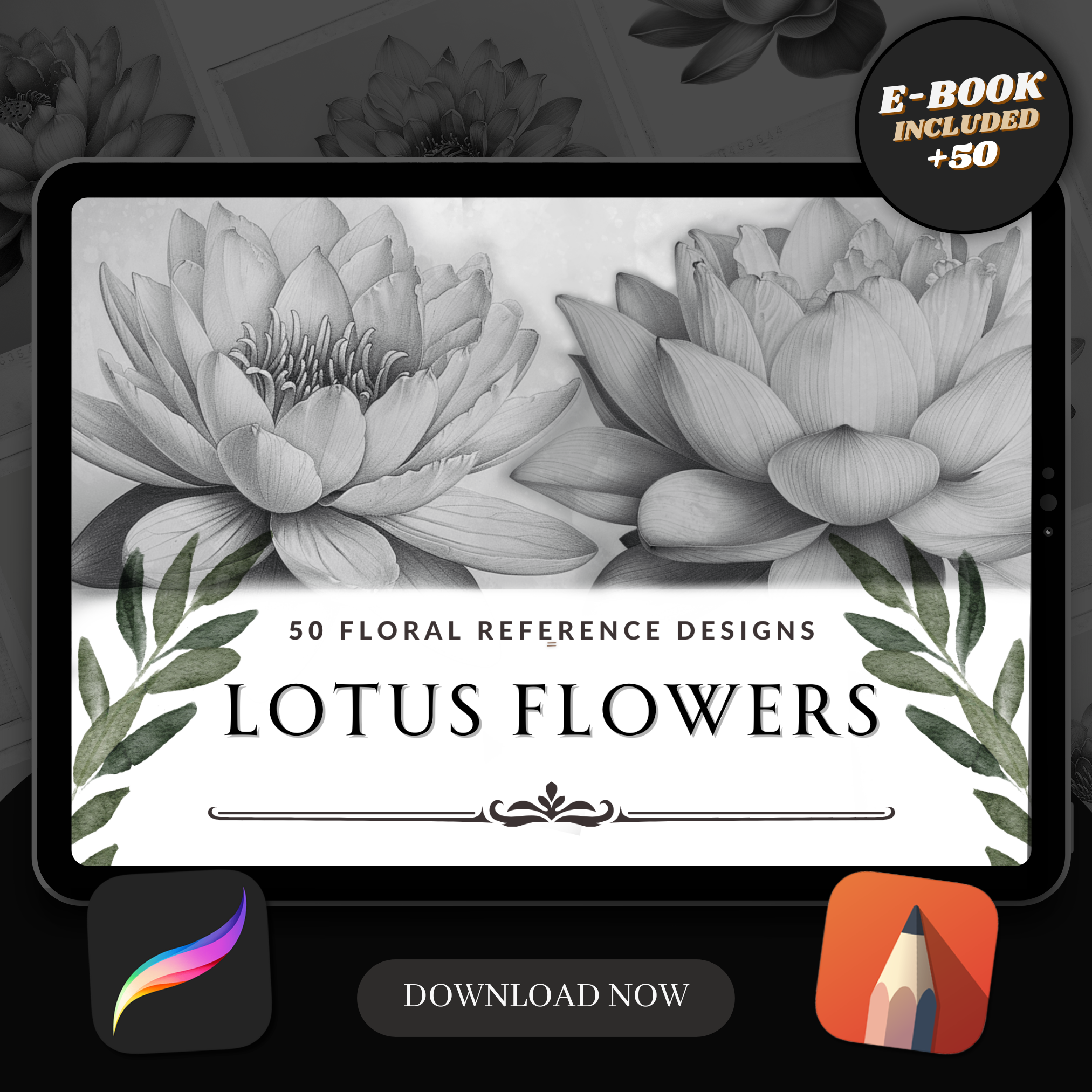 Lotus Flowers Digital Design Collection: 50 Procreate & Sketchbook Images