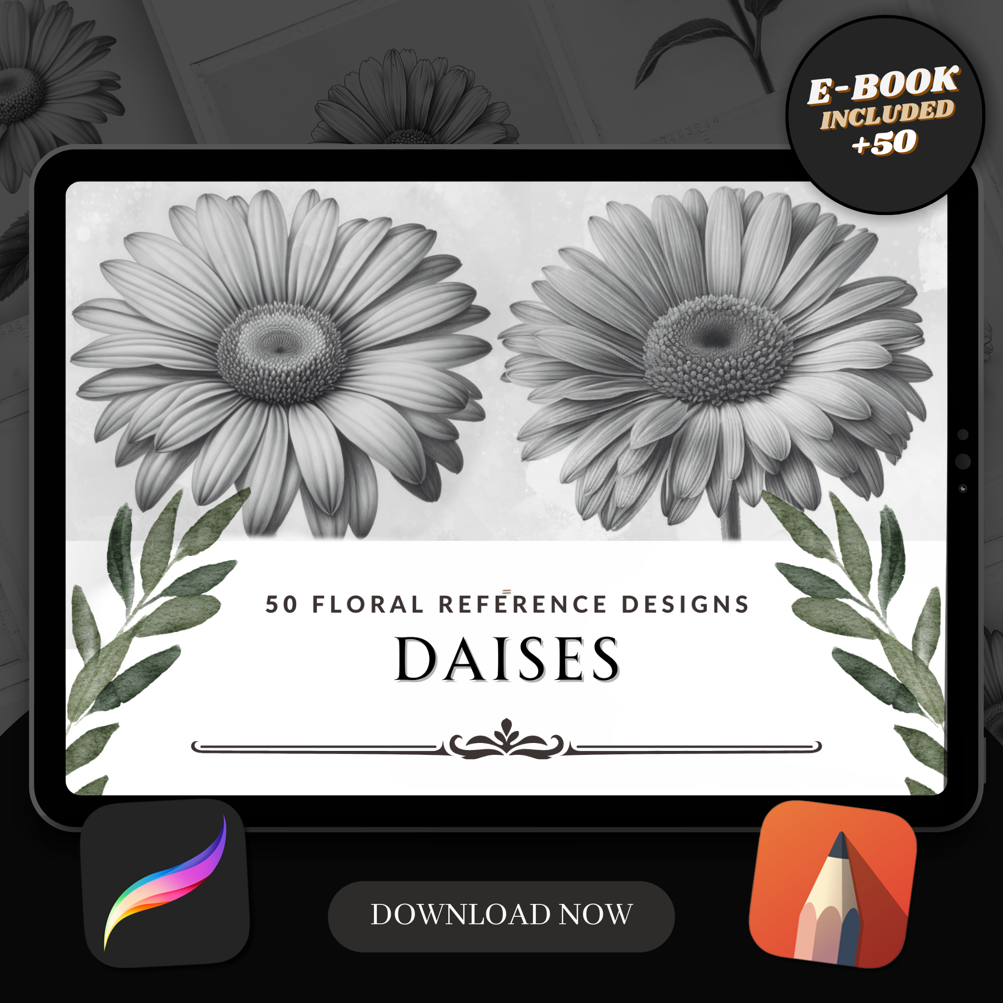 Colección de diseño digital Daisies: 50 imágenes de Procreate y Sketchbook