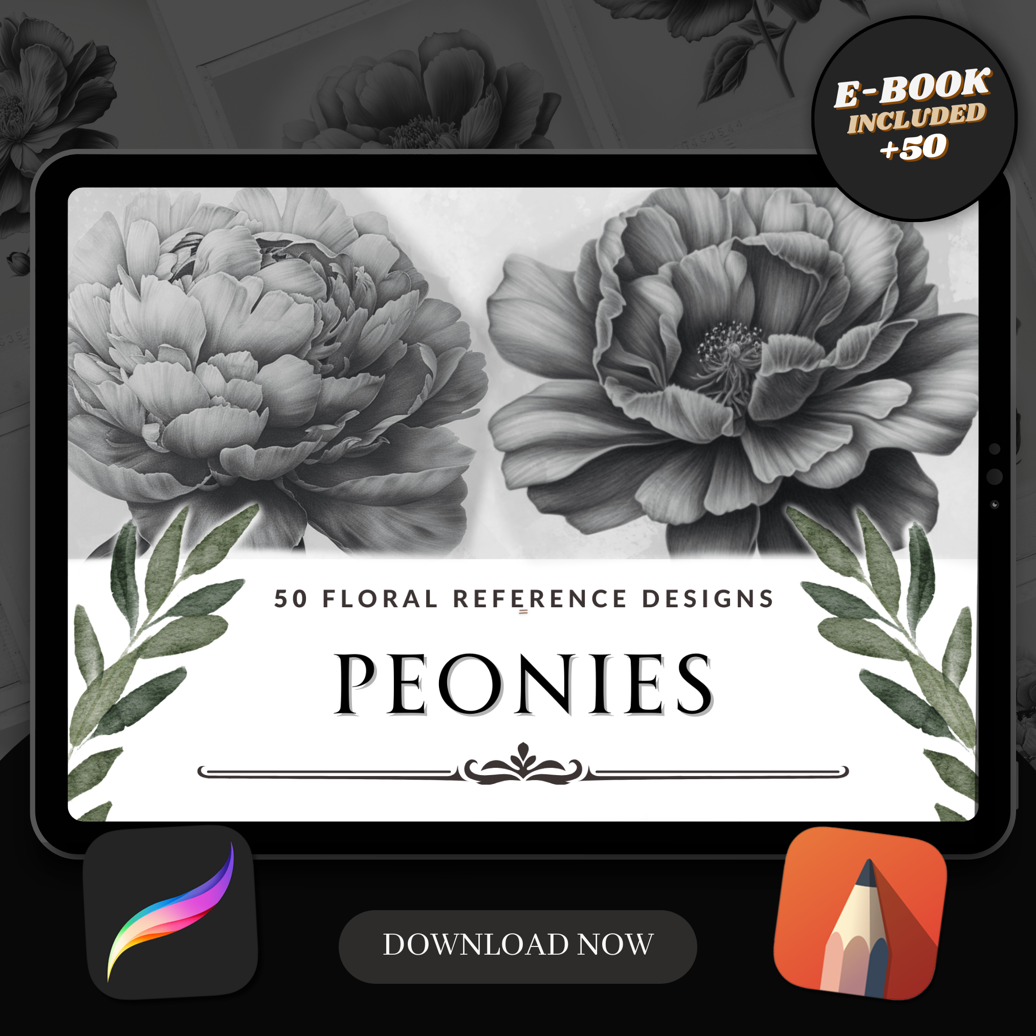 Peonies Digital Design Collection: 50 Procreate & Sketchbook Images