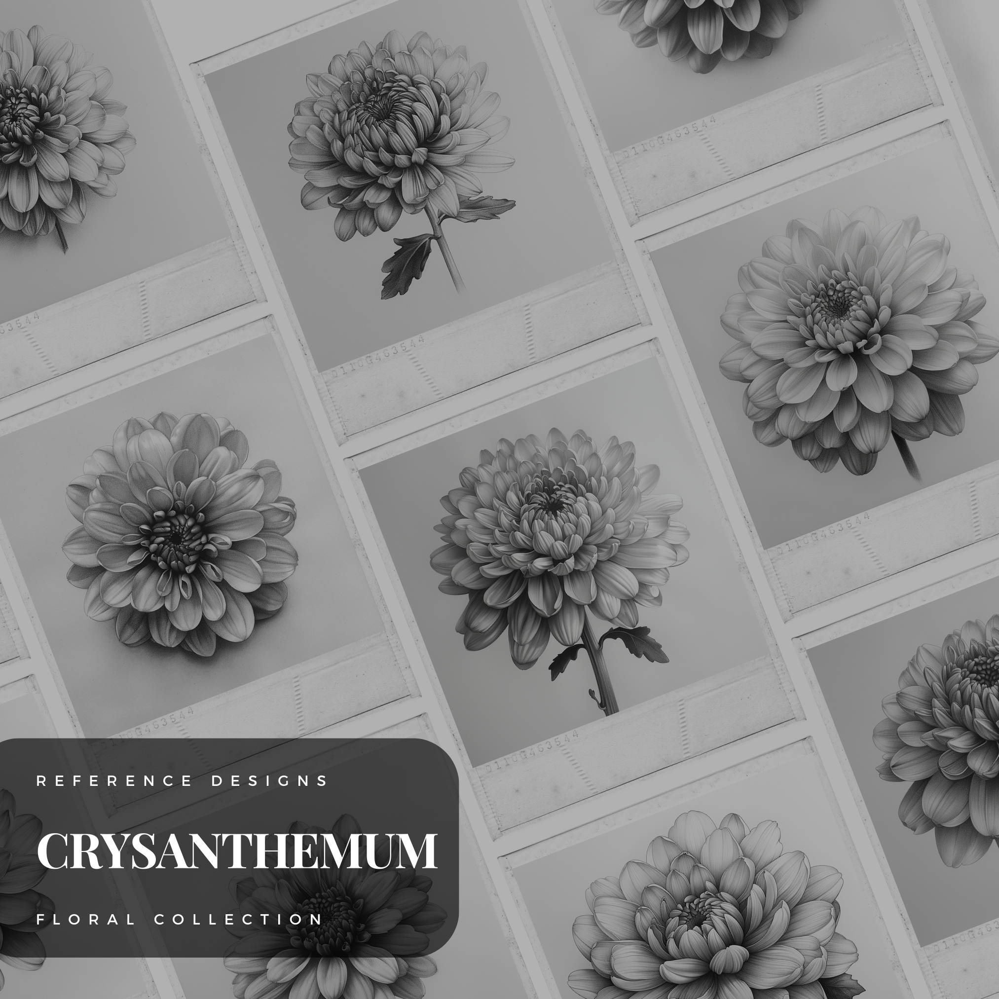Chrysanthemen Digitale Designsammlung: 50 Procreate- und Skizzenbuchbilder