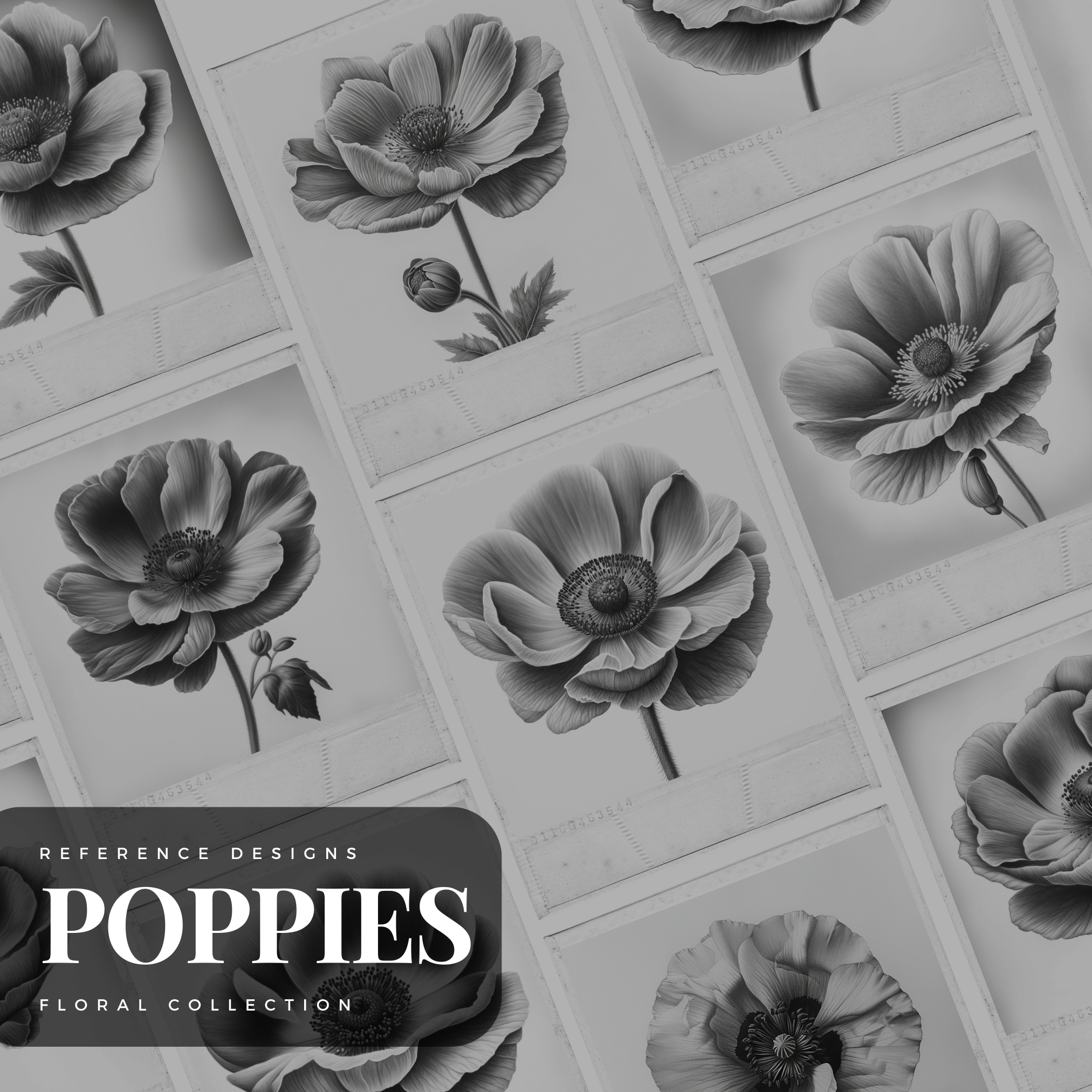 Colección de diseño digital Poppies: 50 imágenes de Procreate y Sketchbook