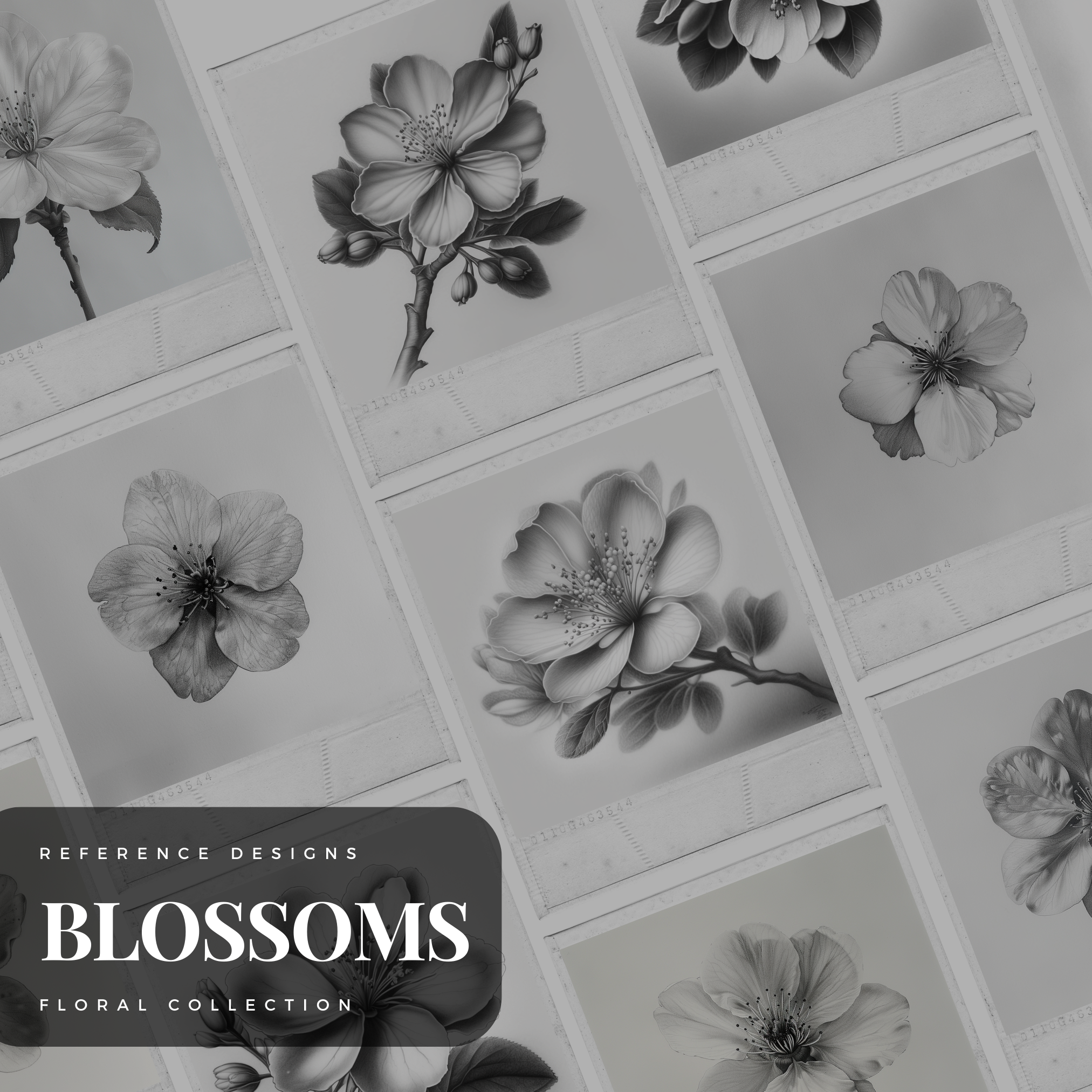 Colección de diseño digital Cherry Blossoms: 50 imágenes de Procreate y Sketchbook