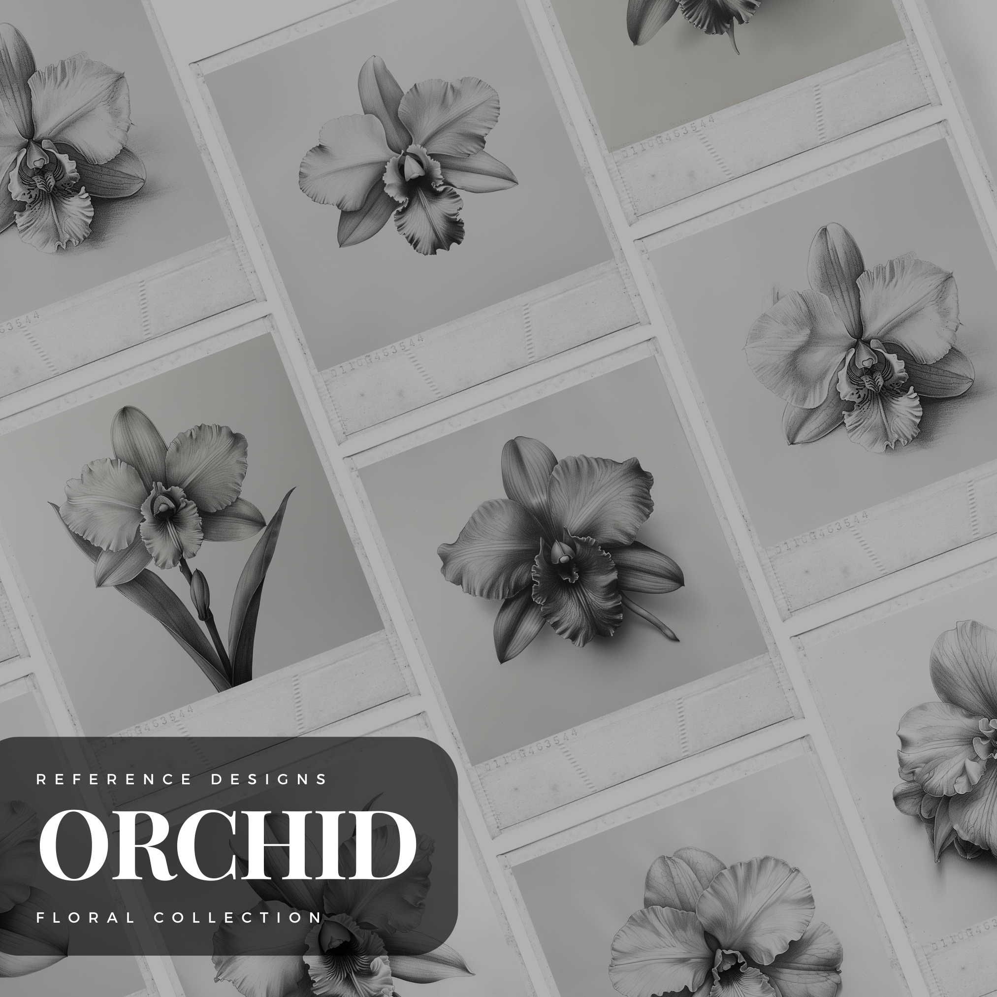 Digitale Designsammlung „Orchids“: 50 Procreate- und Skizzenbuchbilder