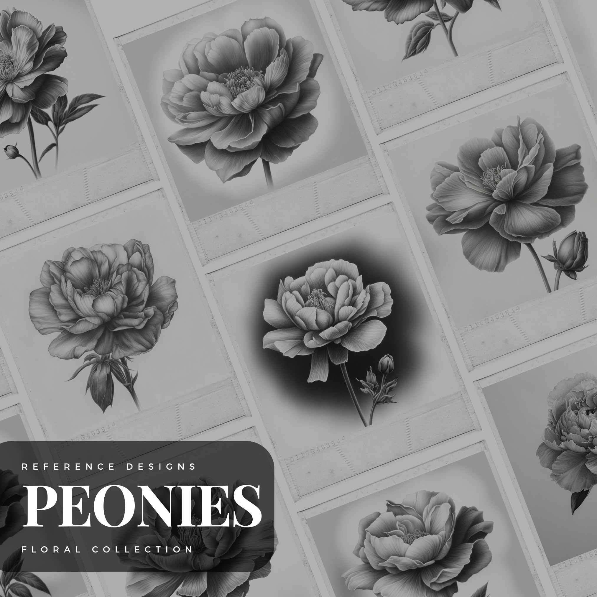 Colección de diseño digital Peonies: 50 imágenes de Procreate y Sketchbook