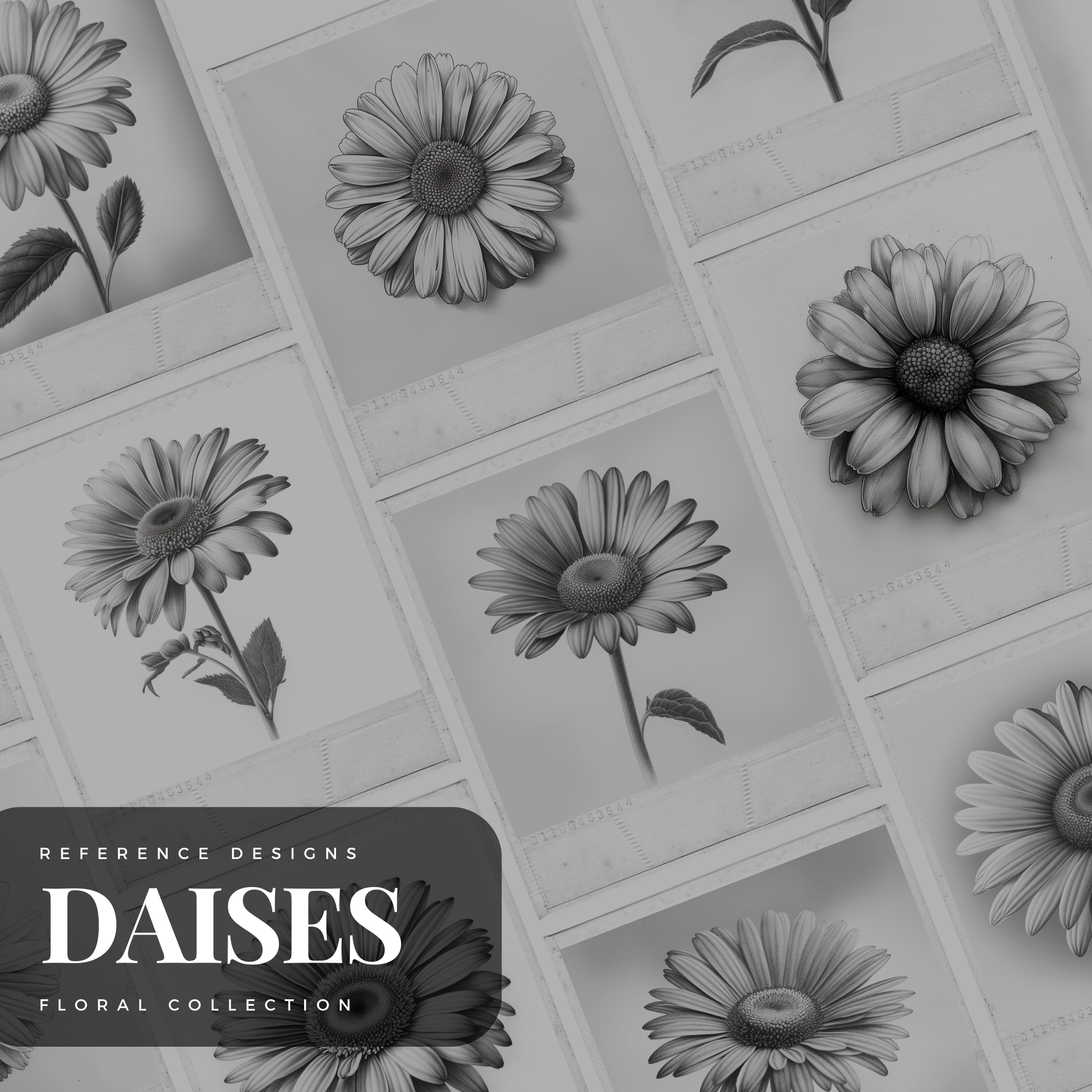 Daisies Digital Design Collection: 50 Procreate- und Skizzenbuchbilder