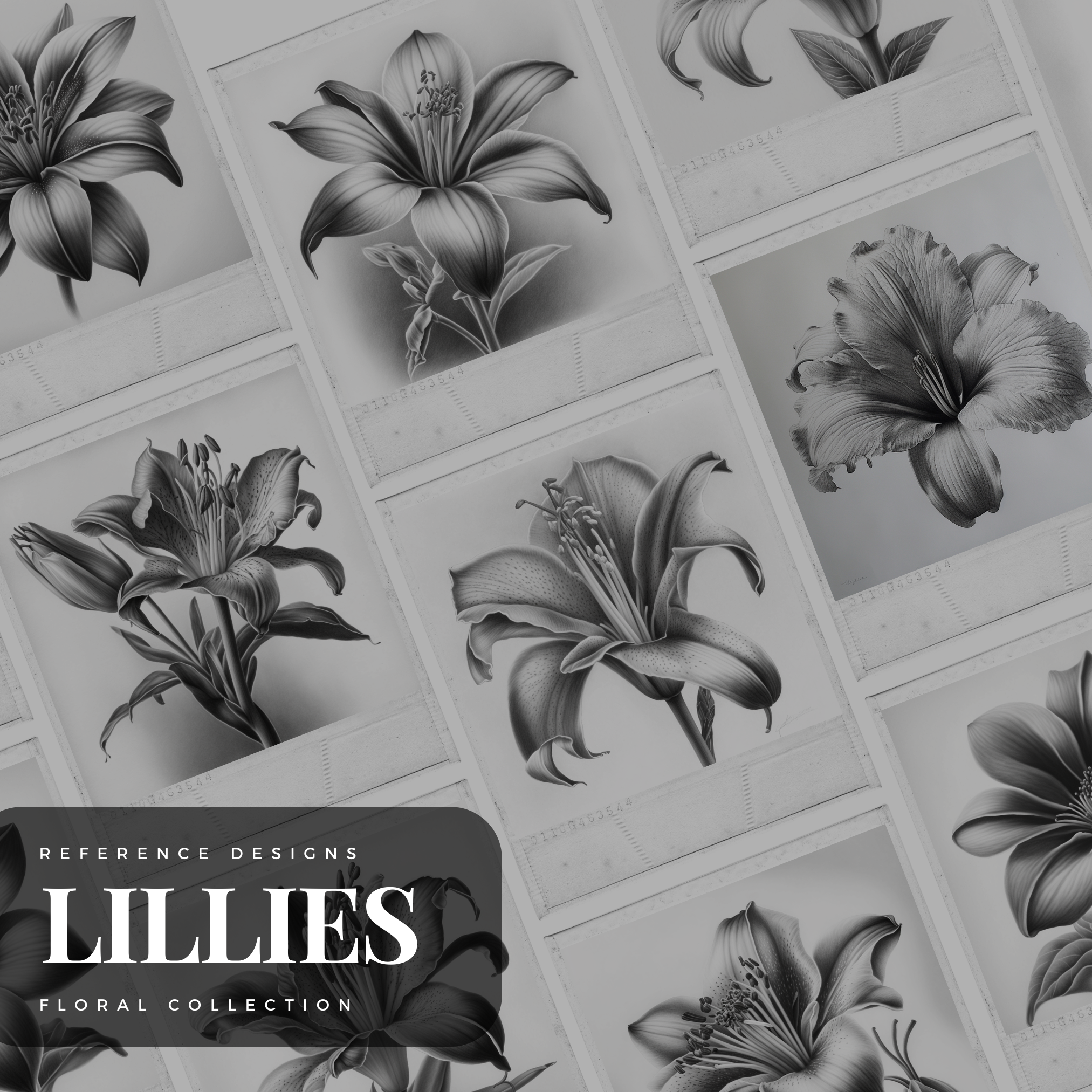Lilies Digital Design Collection: 50 Procreate & Sketchbook Images
