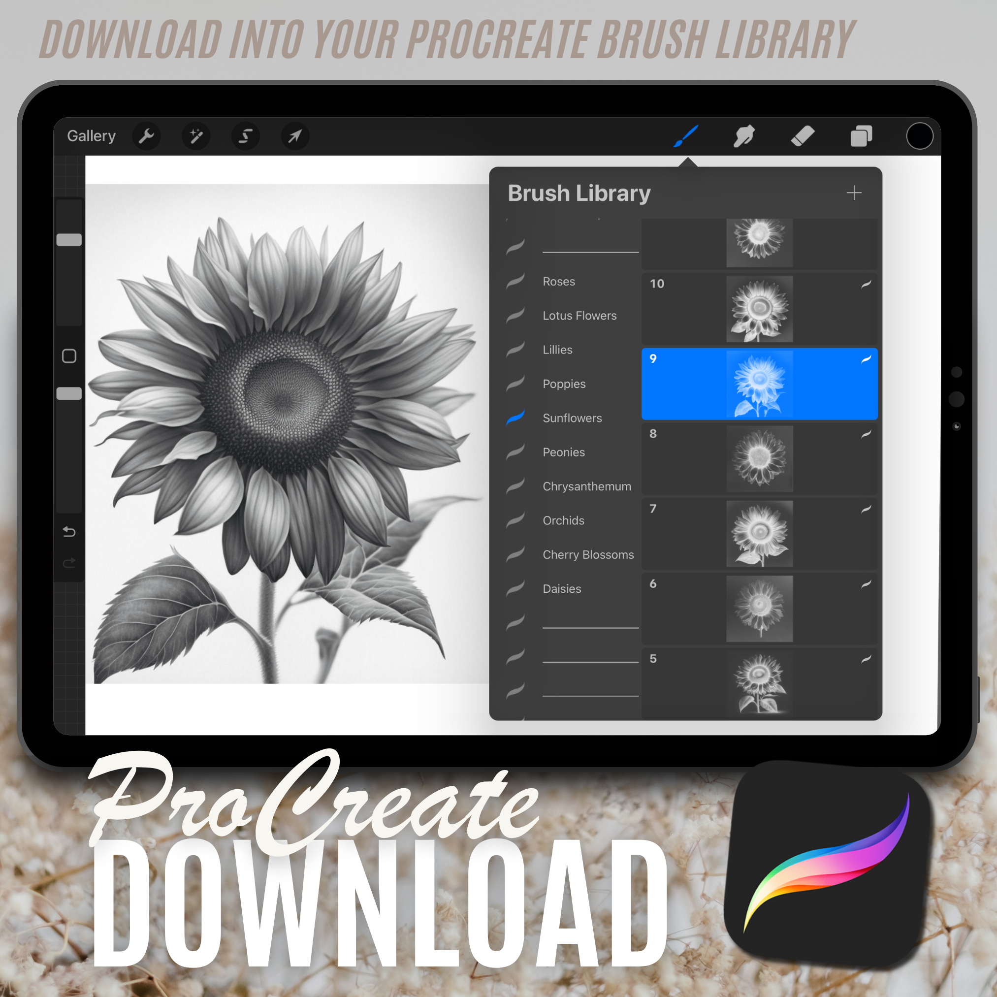 Colección de diseño digital de girasoles: 50 imágenes de Procreate y Sketchbook