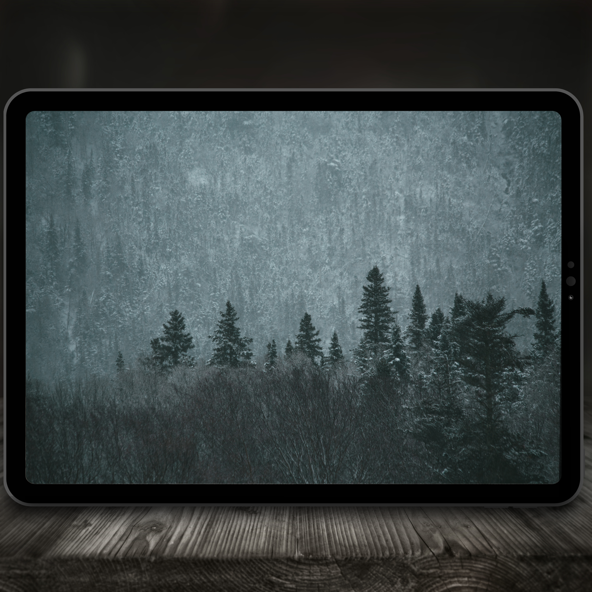 Winter Forest Color Palette for Procreate – Frosted Woodland Tones + Hex Chart