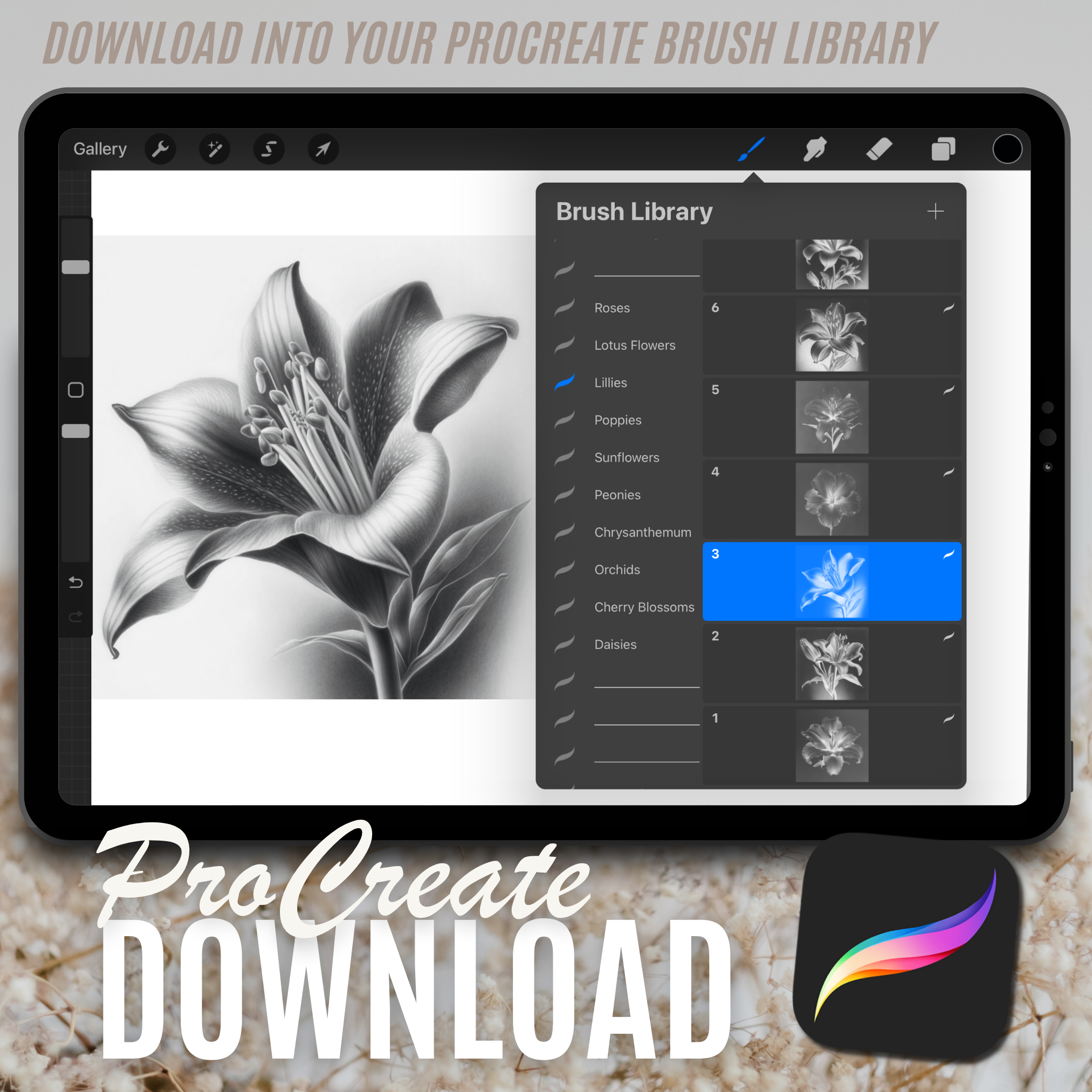 Lilies Digital Design Collection: 50 Procreate & Sketchbook Images