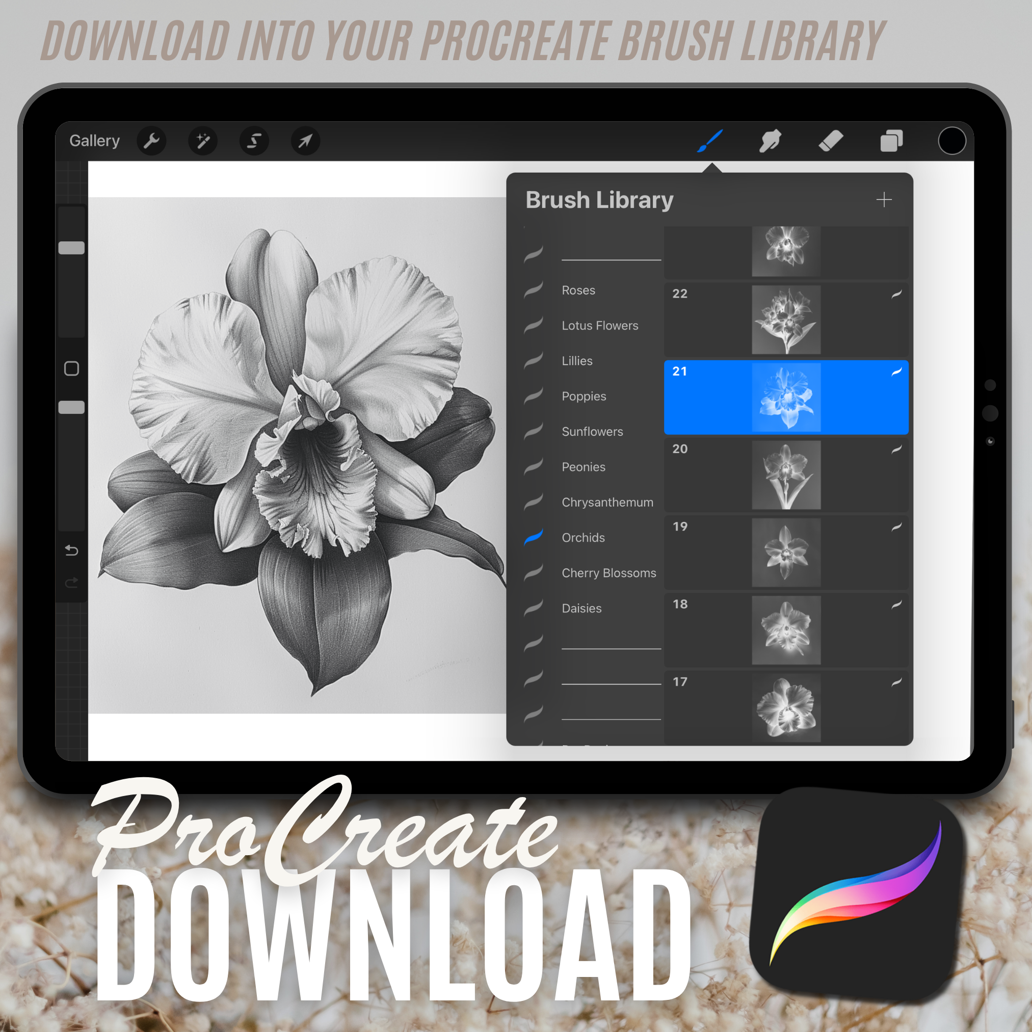 Digitale Designsammlung „Orchids“: 50 Procreate- und Skizzenbuchbilder