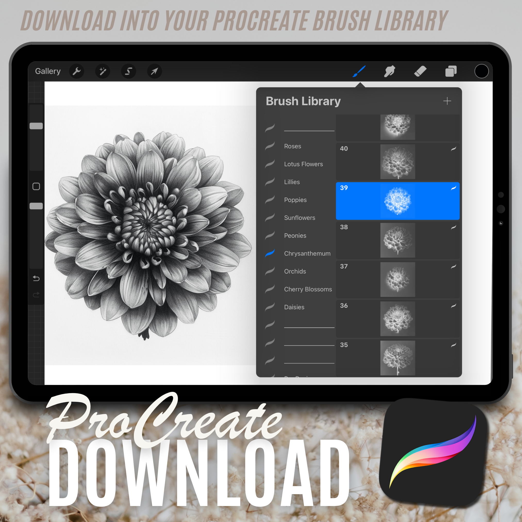 Chrysanthemums Digital Design Collection: 50 Procreate & Sketchbook Images