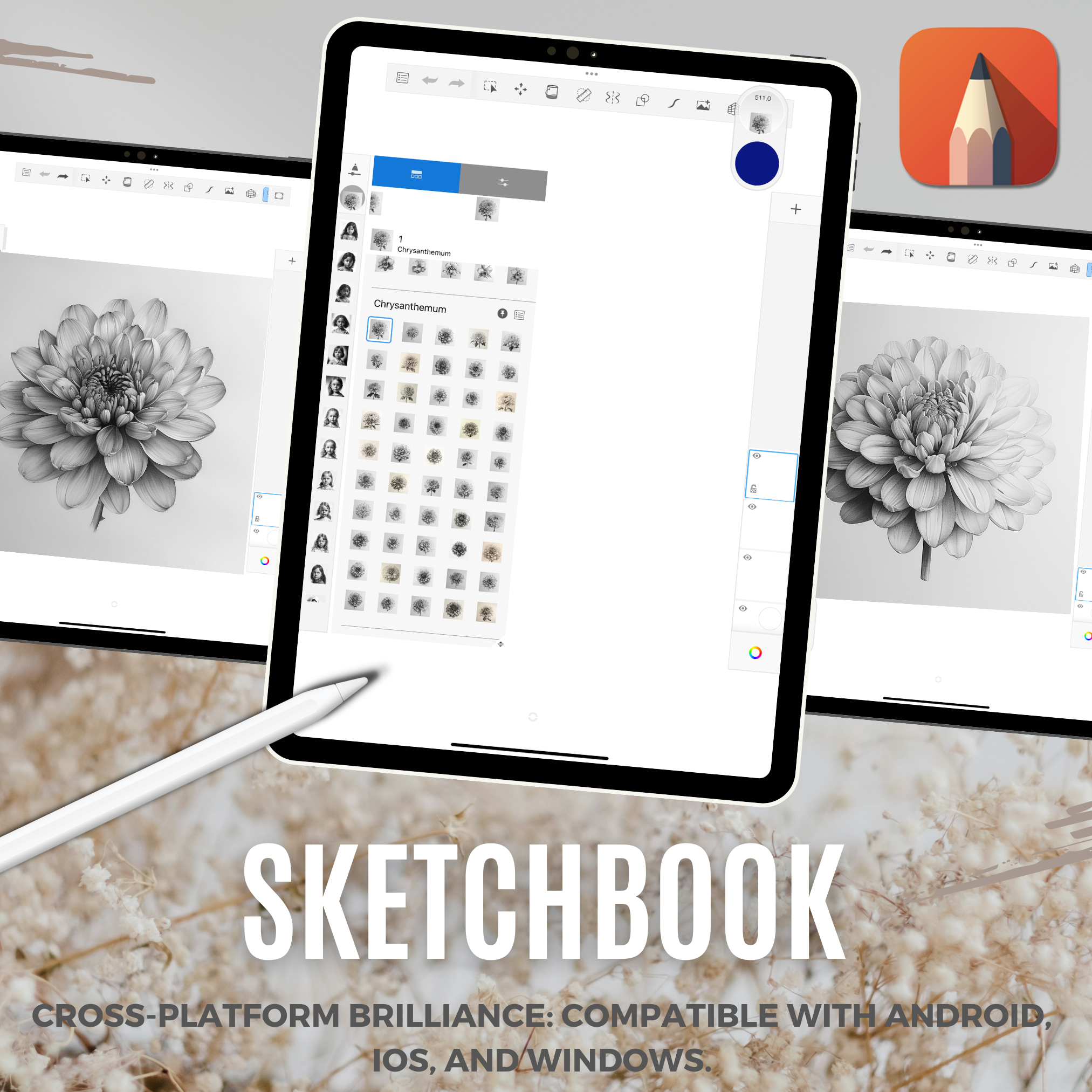 Colección de diseño digital Chrysanthemums: 50 imágenes de Procreate y Sketchbook