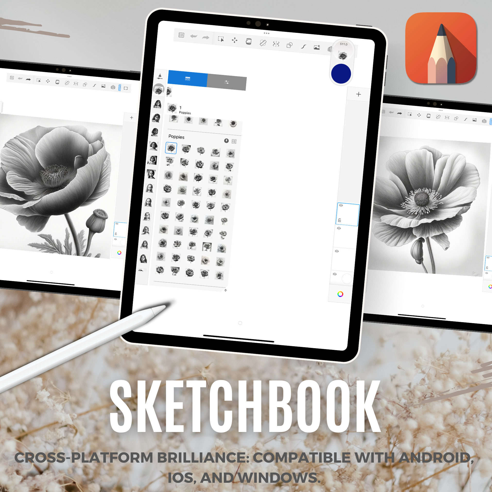 Colección de diseño digital Poppies: 50 imágenes de Procreate y Sketchbook