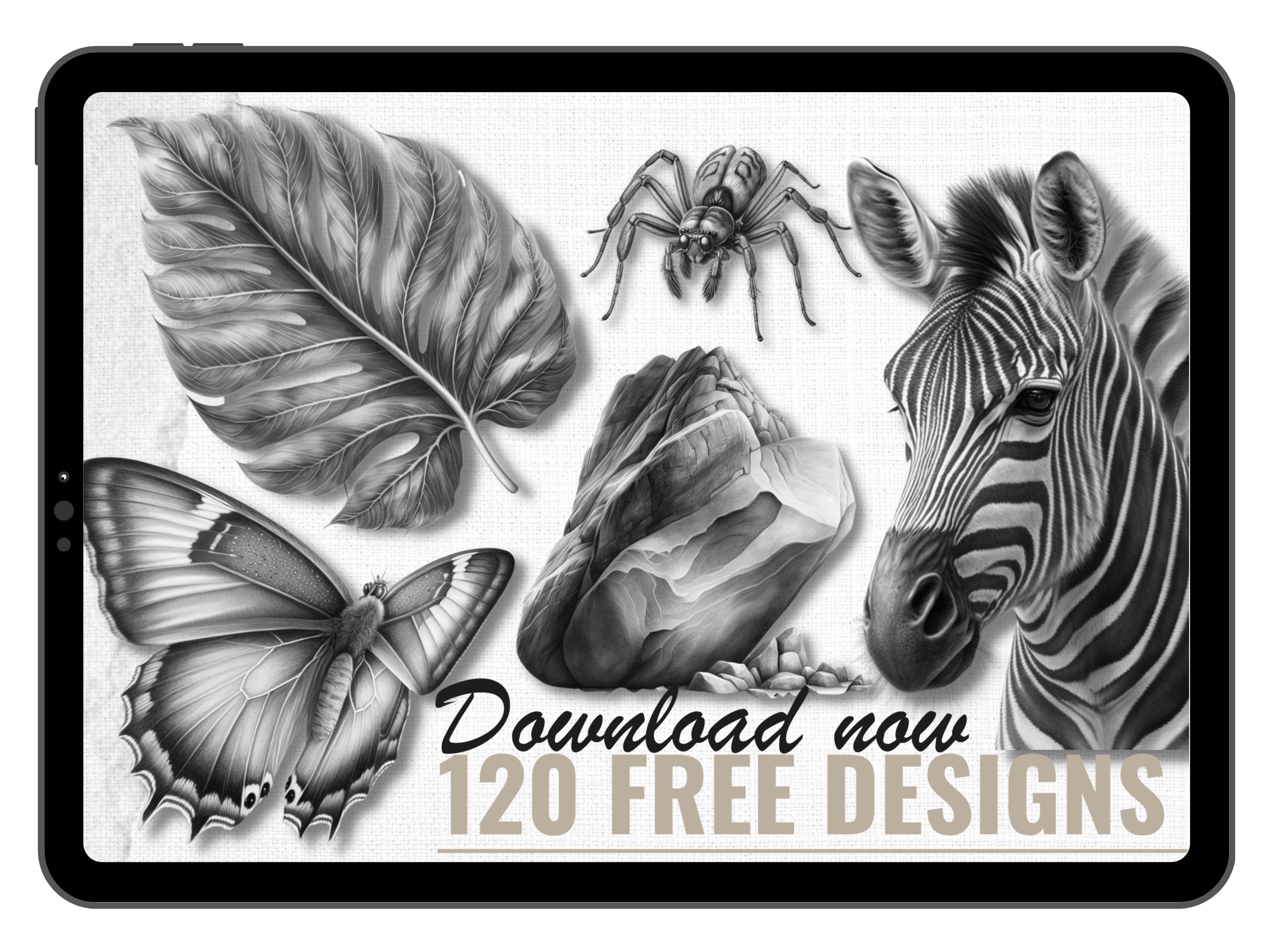 Entdecken Sie die Welt der Kreativität mit unserem KOSTENLOSEN Animal Reference Design Pack! Über 120 Designs enthalten