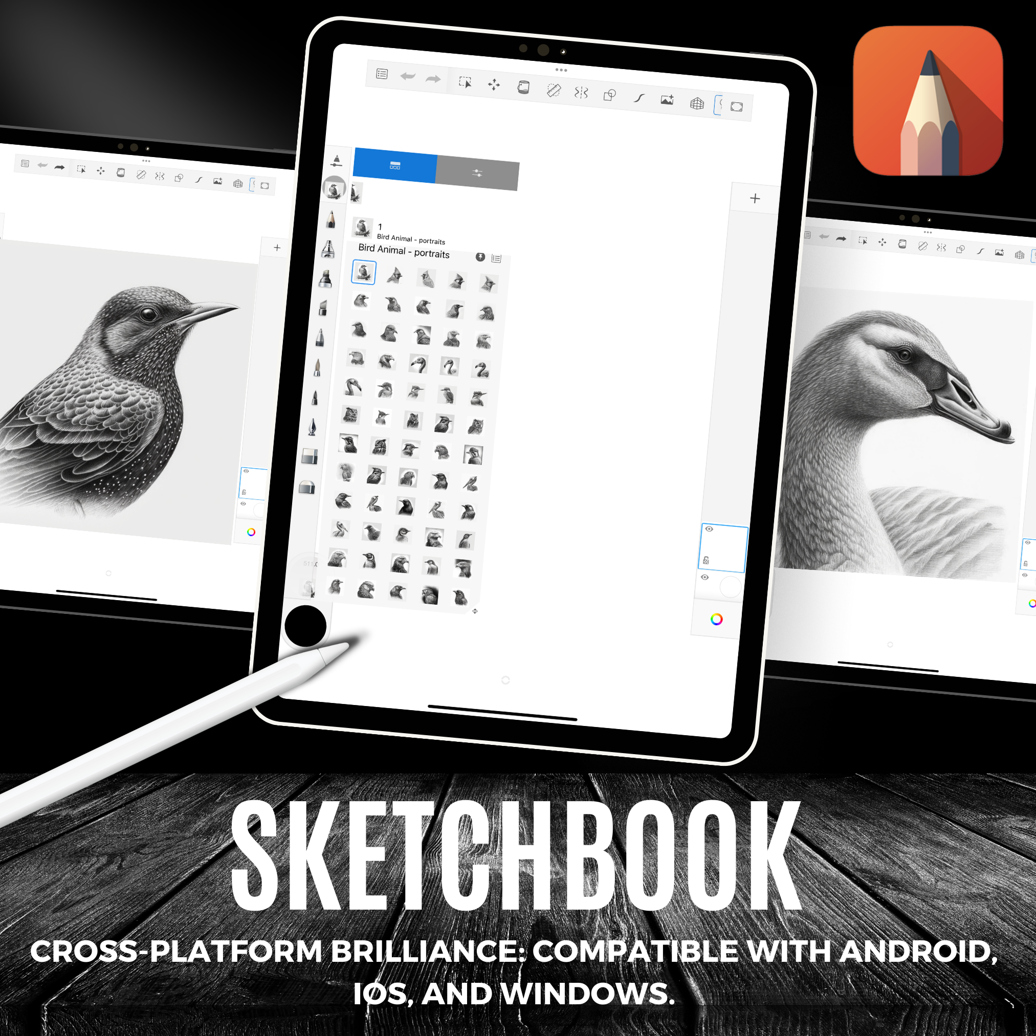 Digitale Referenzdesignsammlung „Birds“: 100 Procreate- und Skizzenbuchbilder