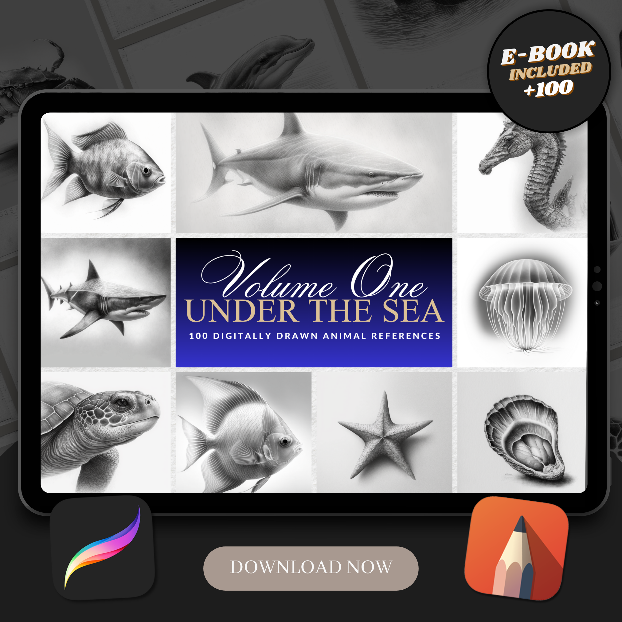 Colección de diseño de referencia digital 'Volumen 1' de animales marinos: 100 imágenes de Procreate y Sketchbook