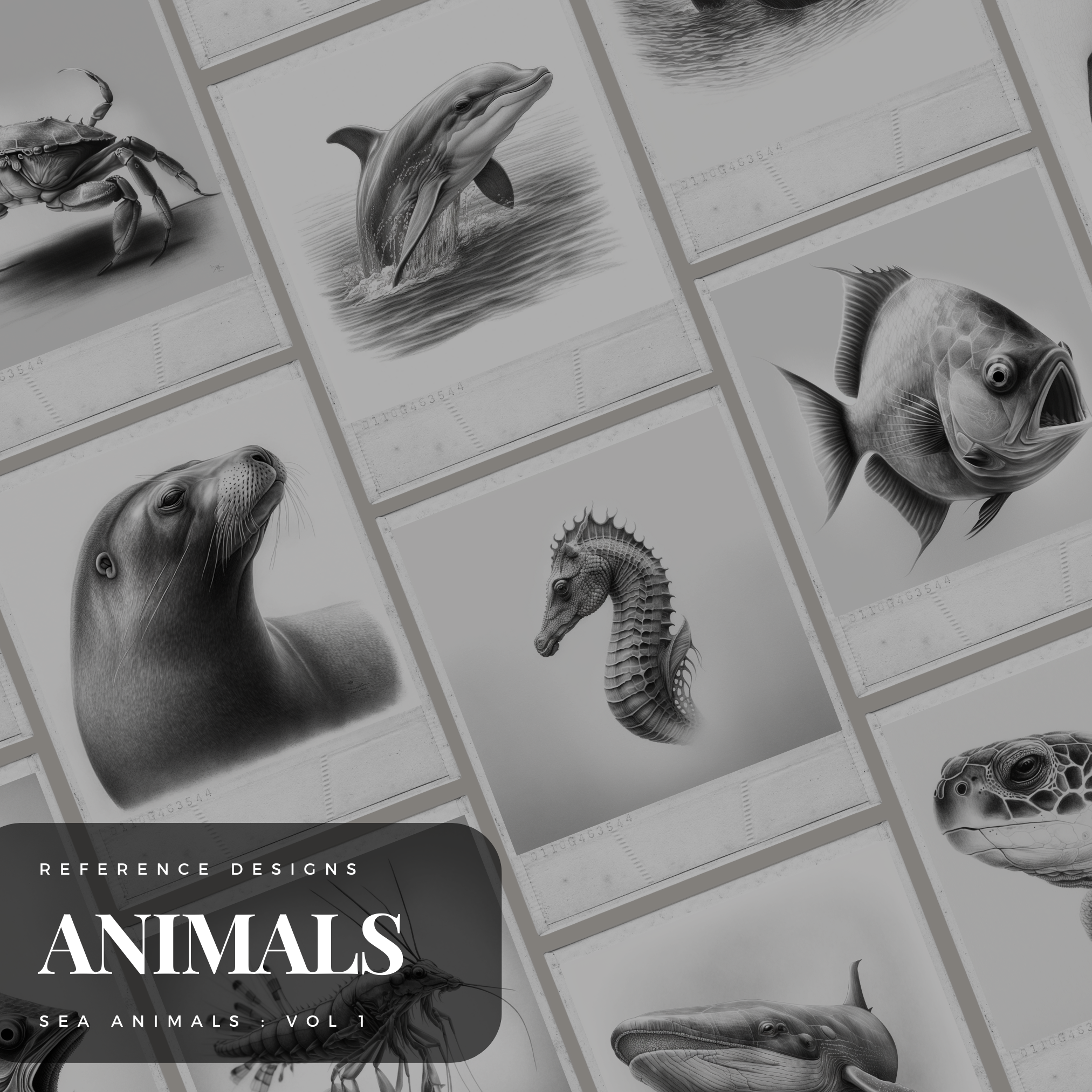 Colección de diseño de referencia digital 'Volumen 1' de animales marinos: 100 imágenes de Procreate y Sketchbook
