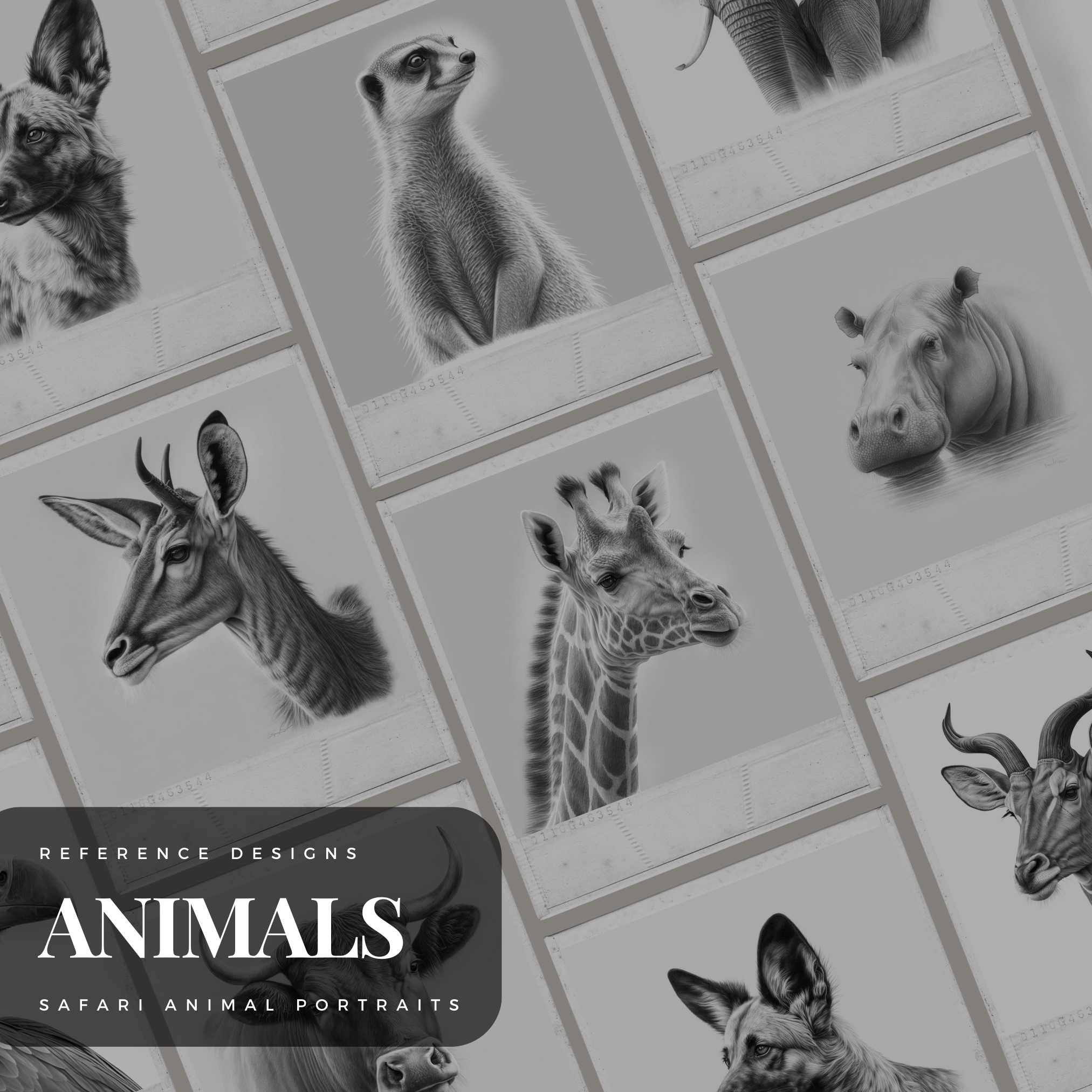 Colección de diseños de referencia digital de animales de Safari: 100 imágenes de Procreate y Sketchbook