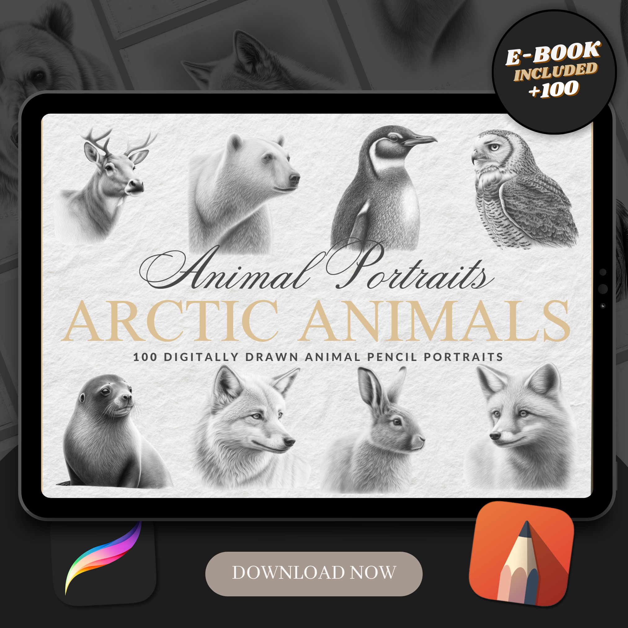 Digitale Referenzdesignsammlung „Arktische Tiere“: 100 Procreate- und Skizzenbuchbilder