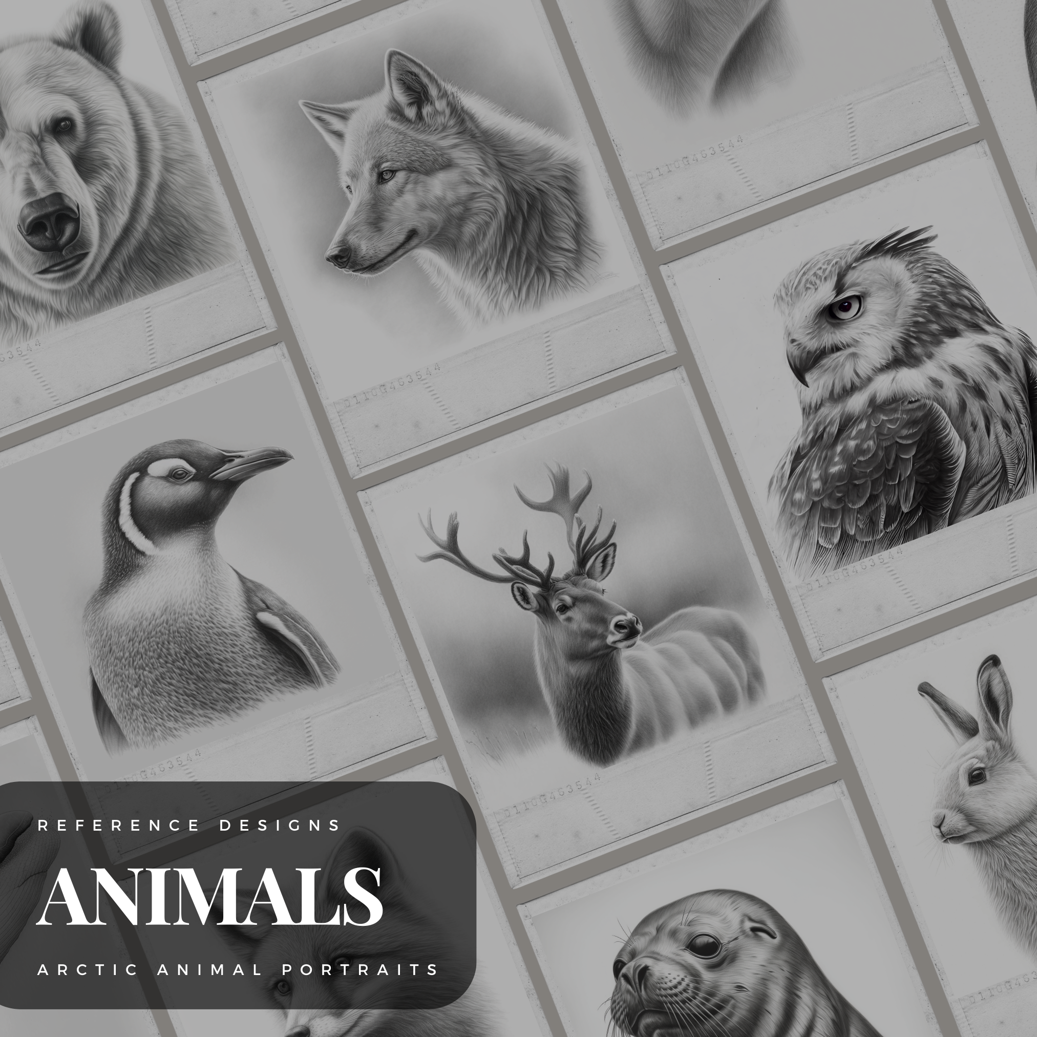 Colección de diseños de referencia digital de animales árticos: 100 imágenes de Procreate y Sketchbook