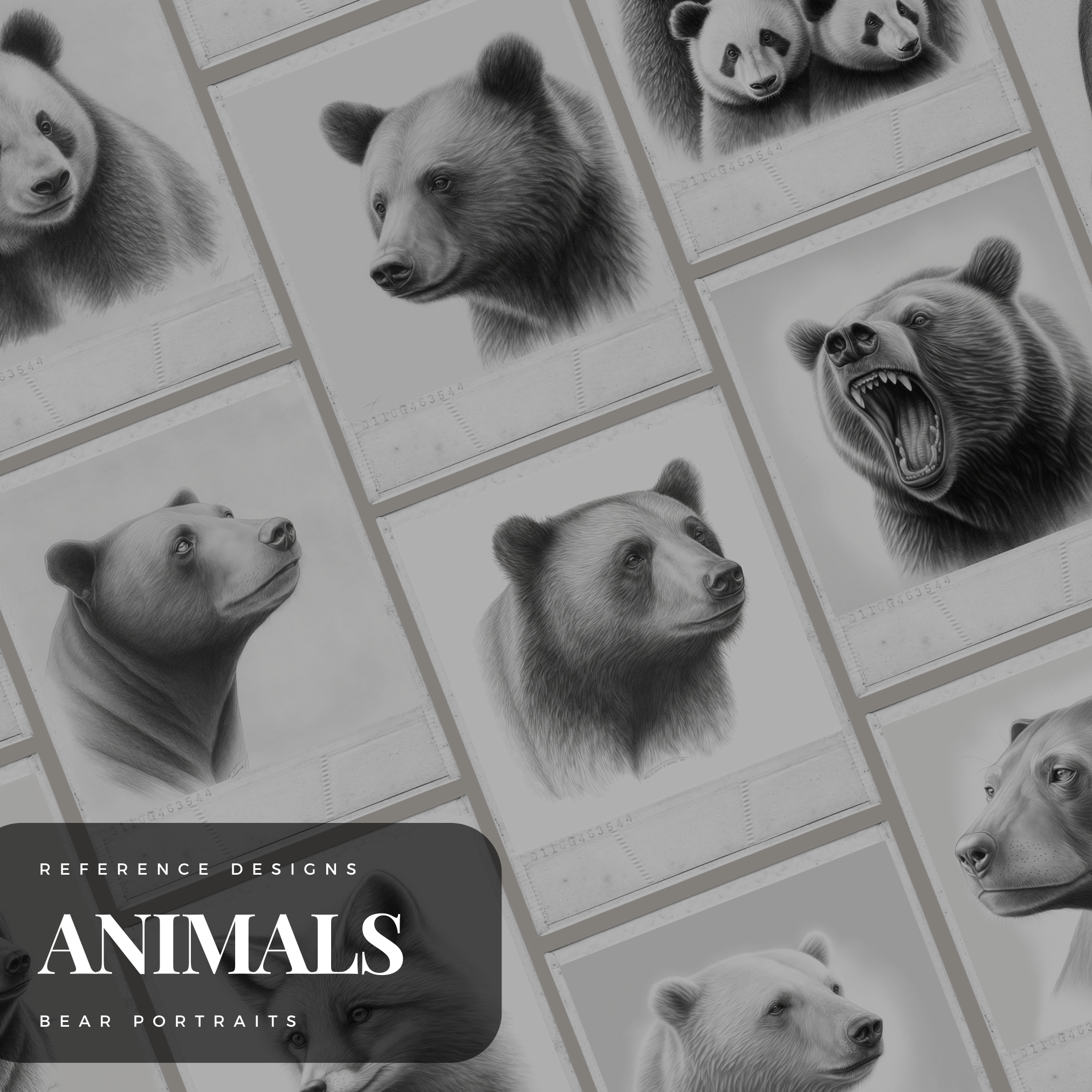 Digitale Referenzdesignsammlung „Bears“: 100 Procreate- und Skizzenbuchbilder