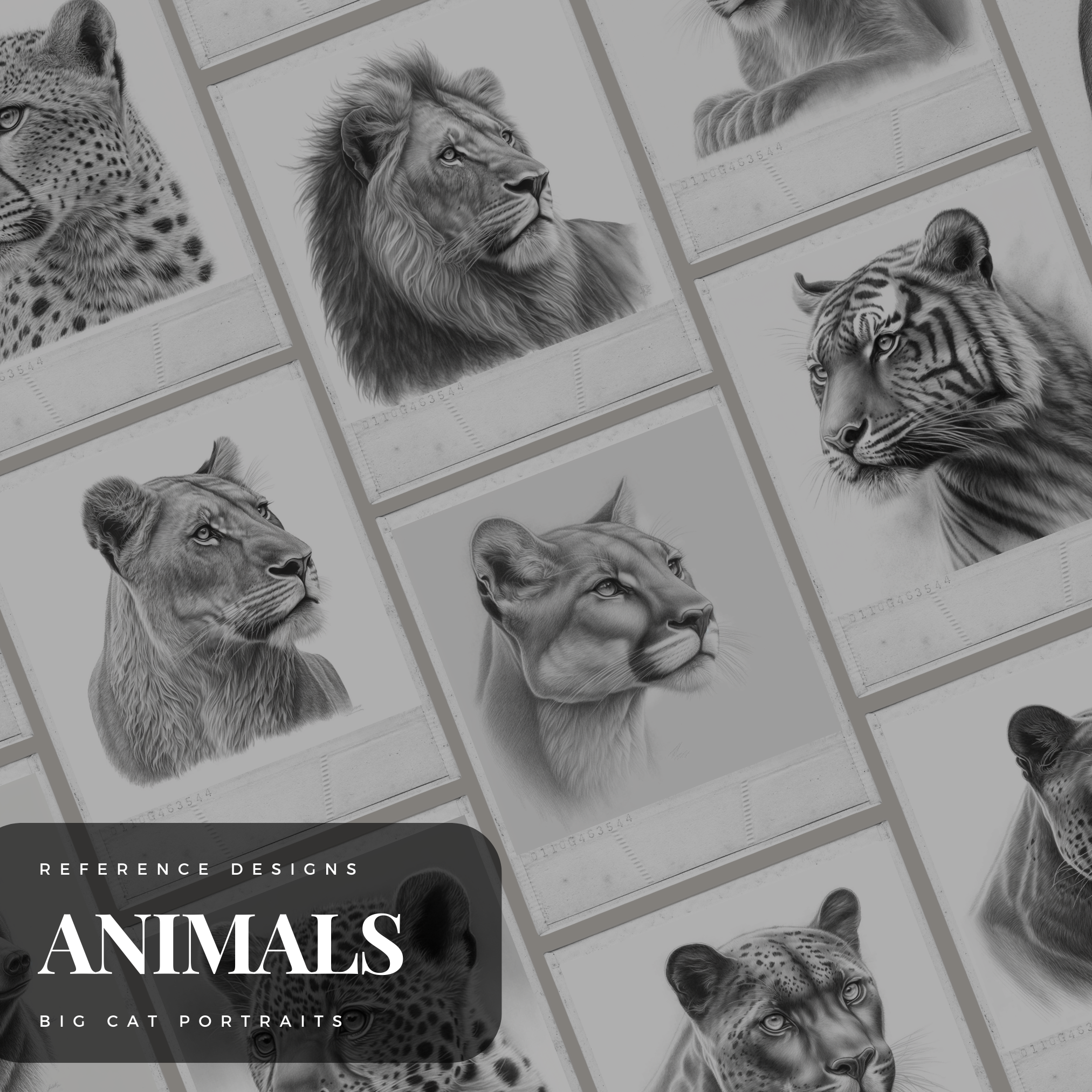 Digitale Referenzdesignsammlung „Großkatzen“: 100 Procreate- und Skizzenbuchbilder