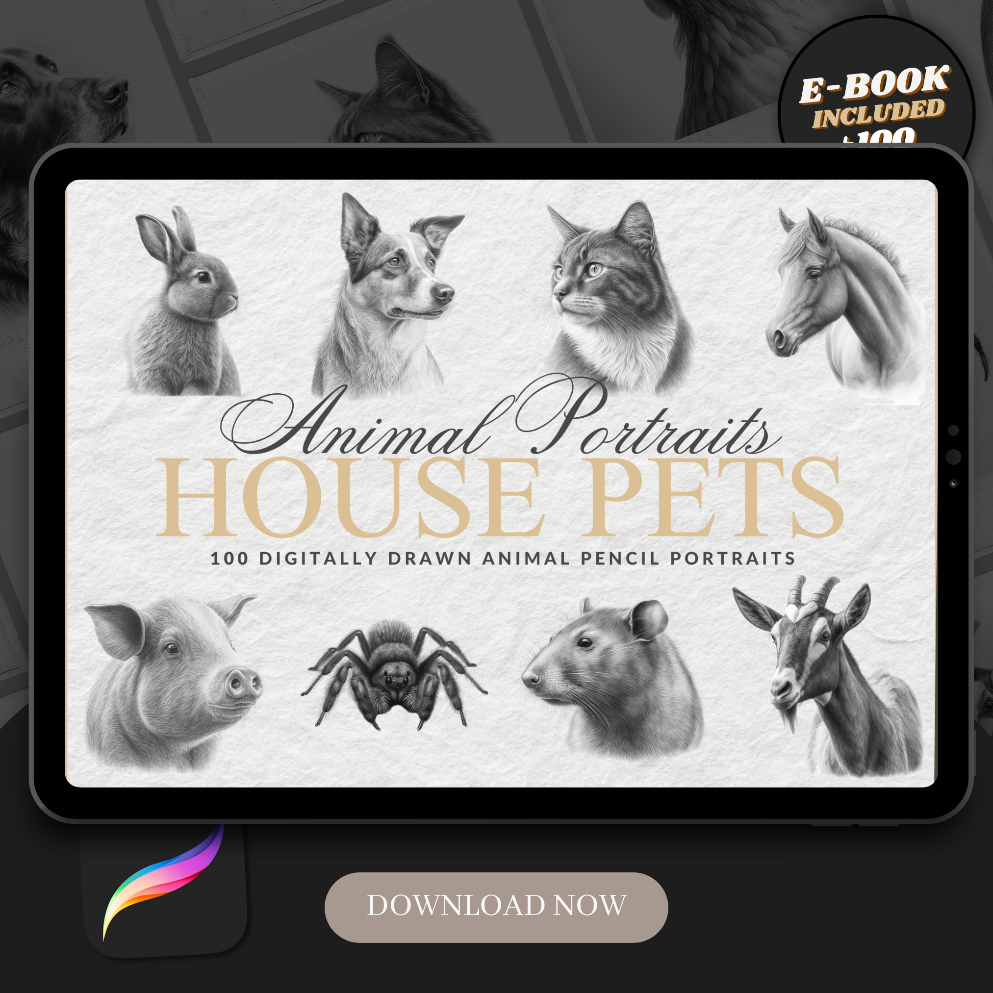 House Pets Digital Reference Design Collection: 100 Procreate & Sketchbook Images