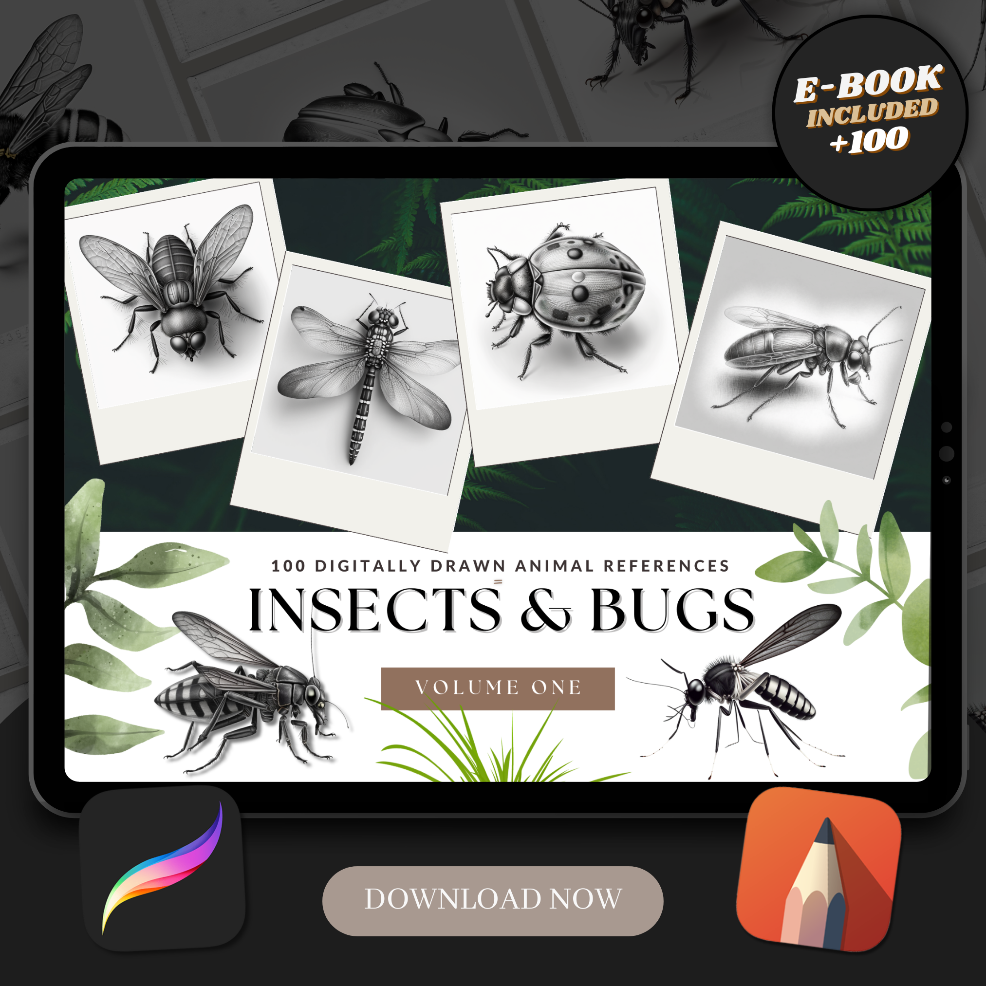 Colección de diseño de referencia digital Insects &amp; Bugs 'Volumen 1': 100 imágenes de Procreate y Sketchbook