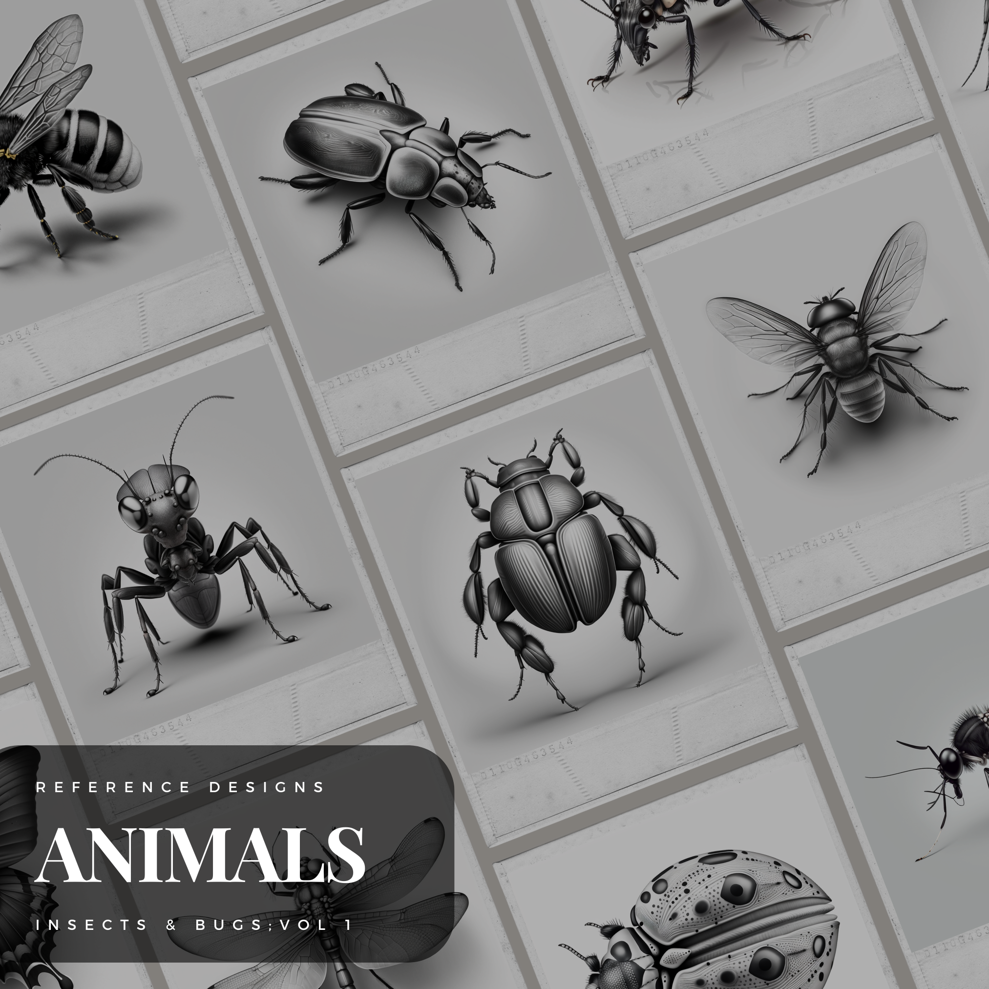 Insekten &amp; Käfer 'Band 1' Digitale Referenzdesignsammlung: 100 Procreate- und Skizzenbuchbilder