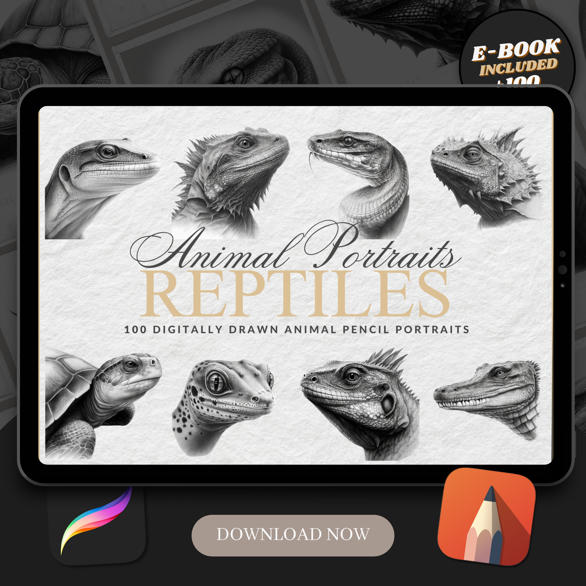 Reptiles Digital Reference Design Collection: 100 Procreate & Sketchbook Images