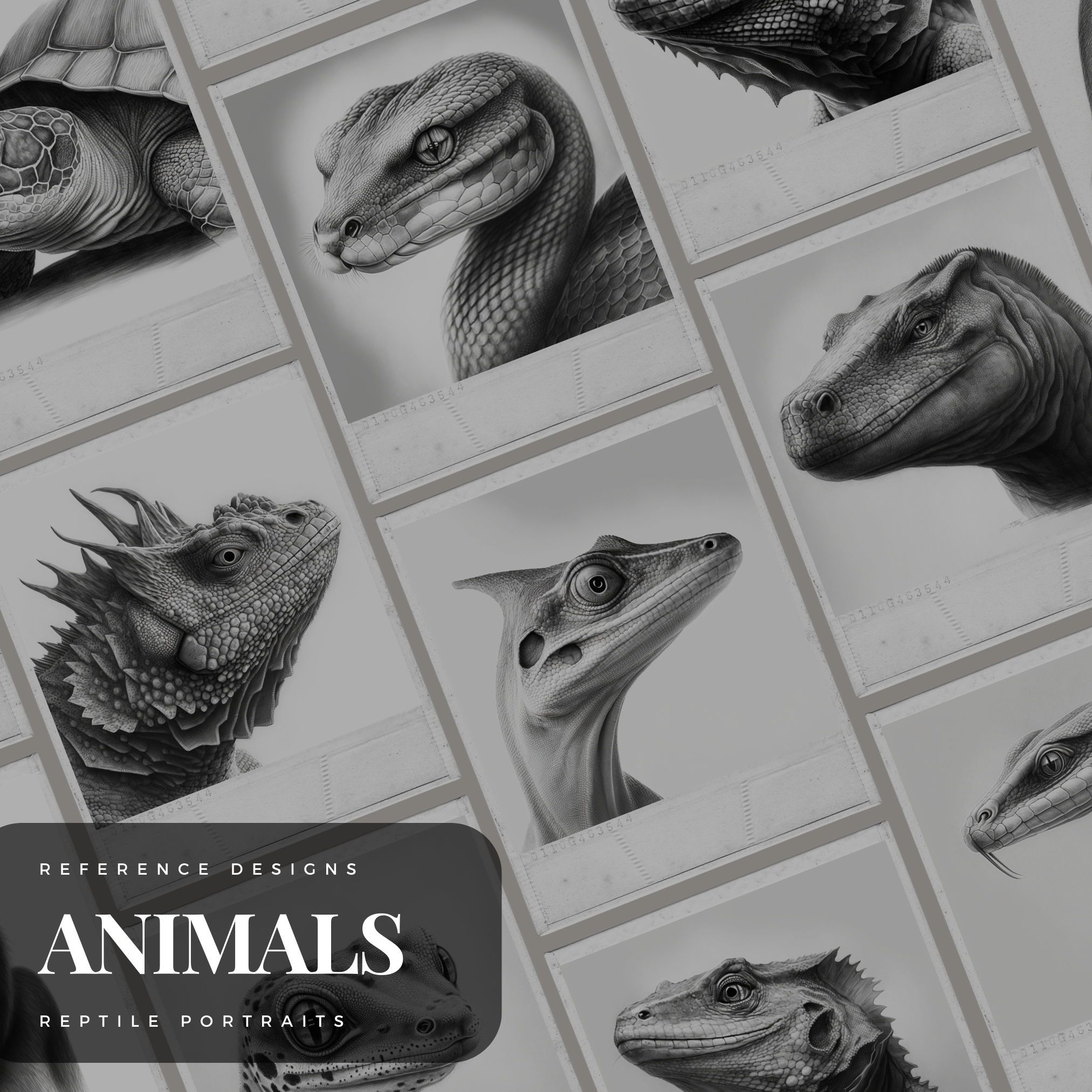 Colección de diseños de referencia digital de reptiles: 100 imágenes de Procreate y Sketchbook